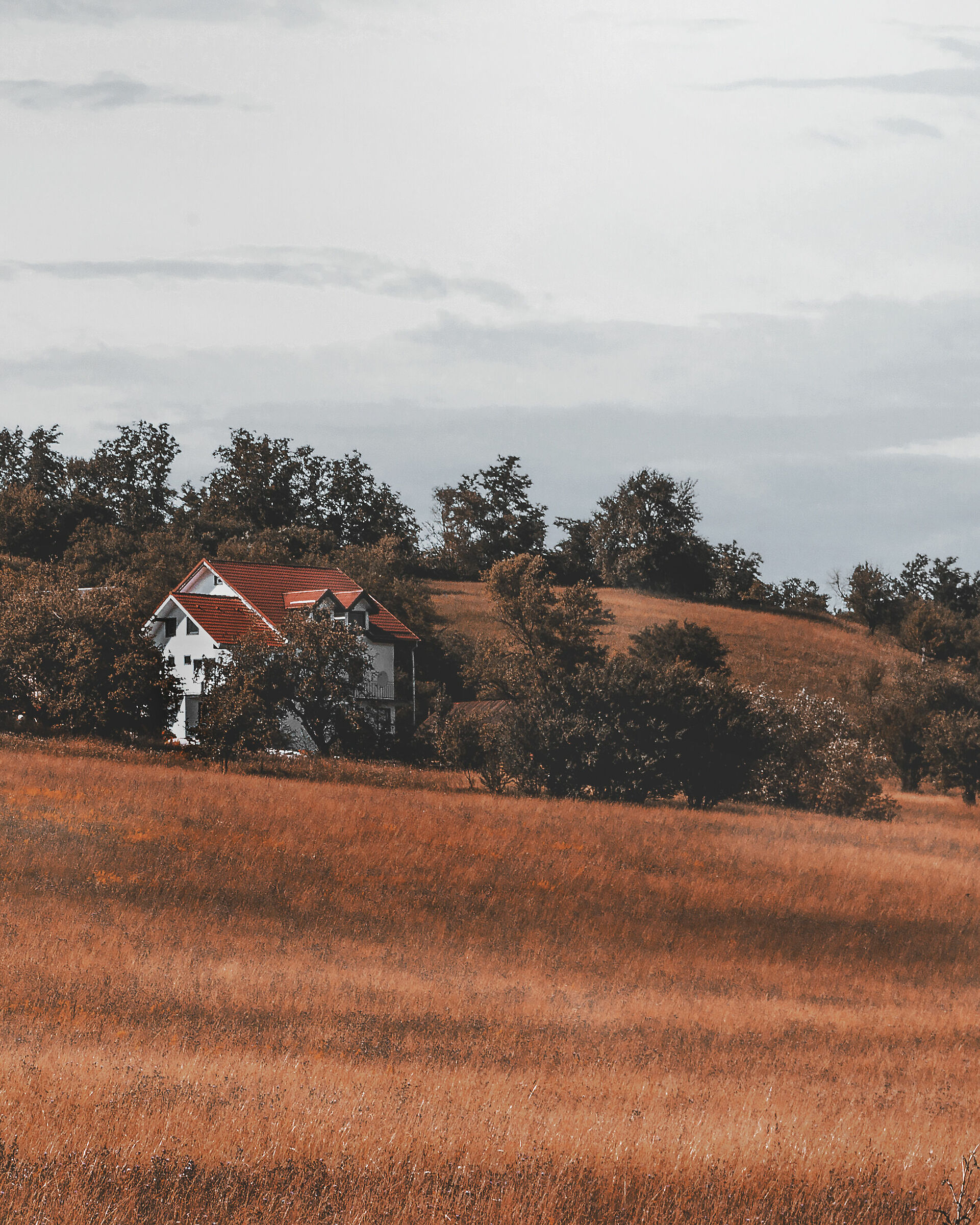 Romanian countryside