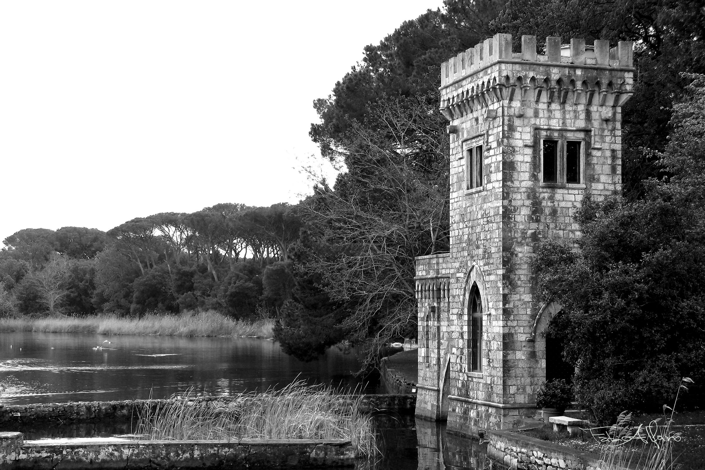 Torre del Lago