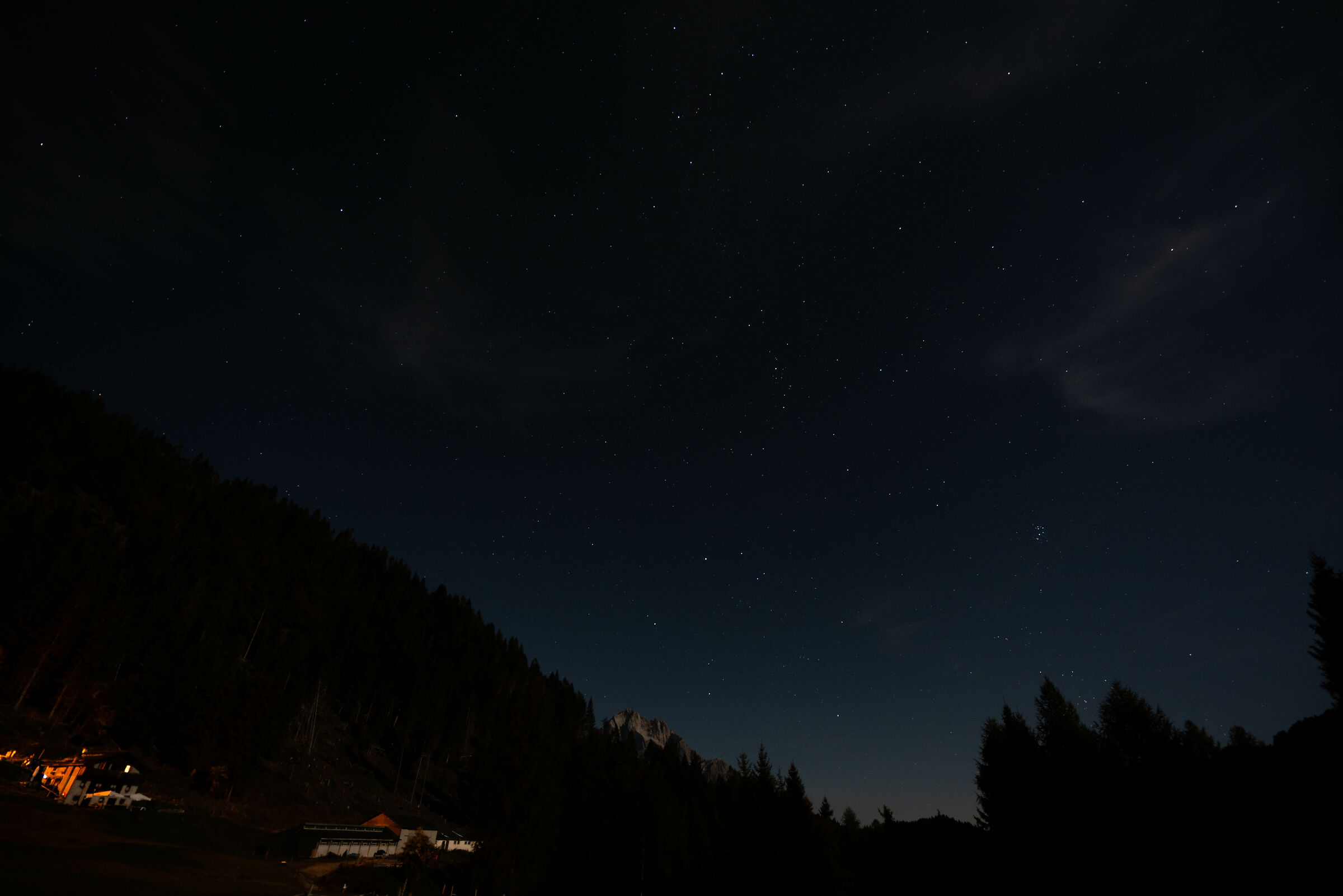 Cadore's Hoppe (BL)