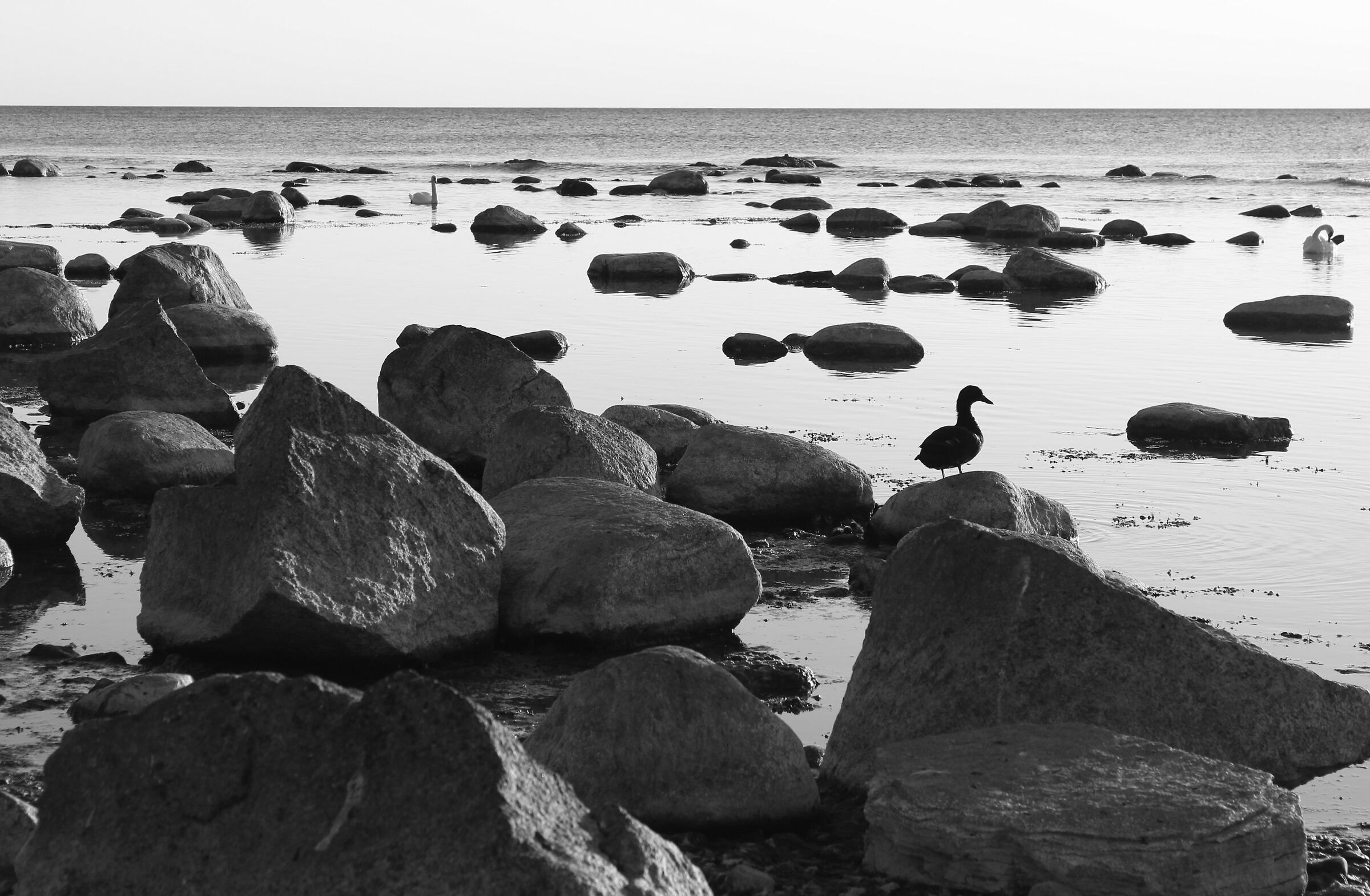 Tranquillità e malinconia del Mare del Nord