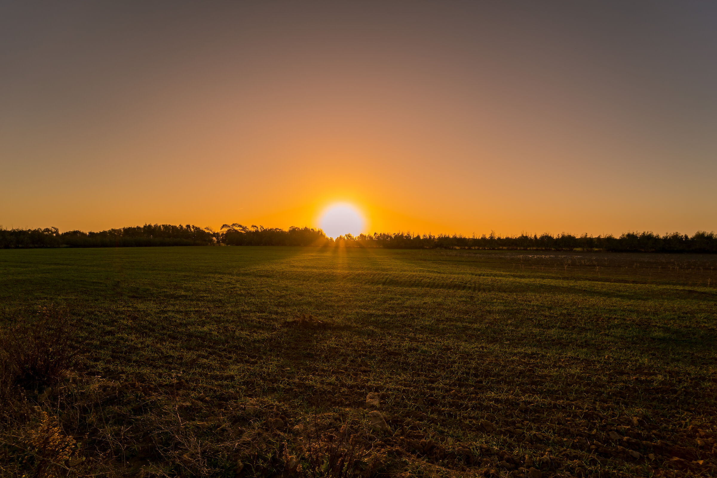 Tramonto al campo