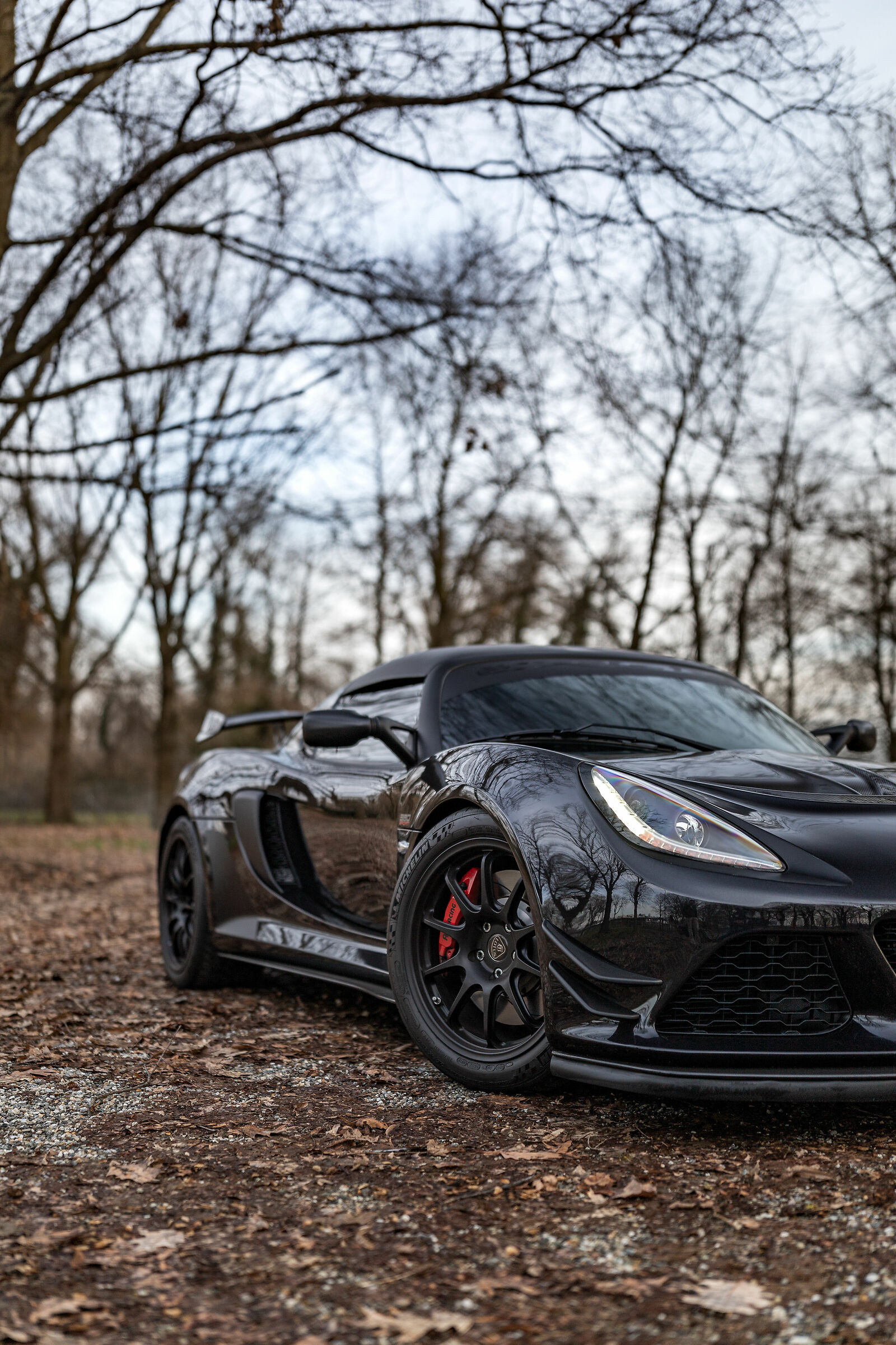Lotus Exige 380 Sport nel boschetto a Monza
