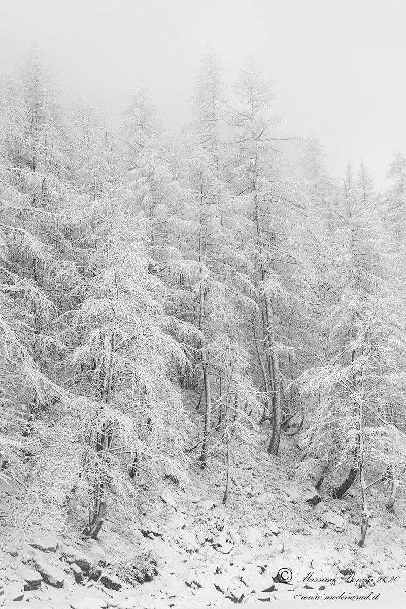 In the kingdom of frozen