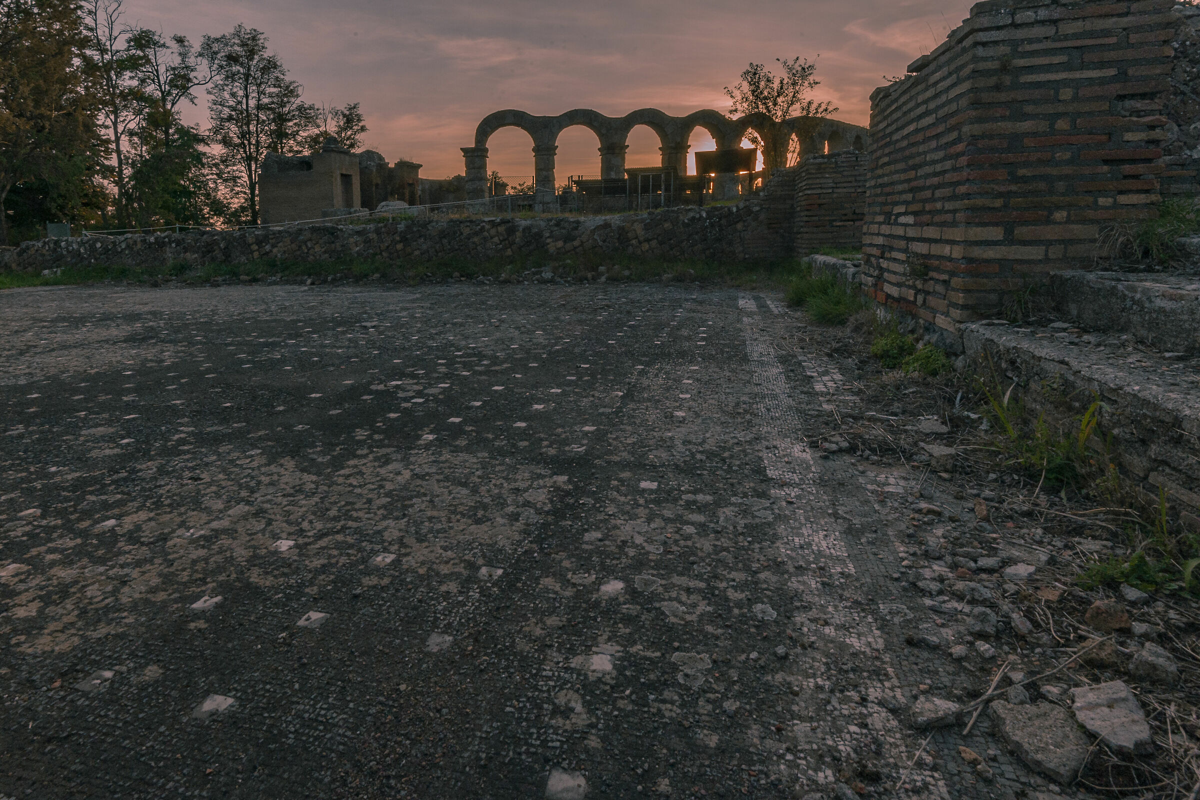 ferento mosaic of the baths