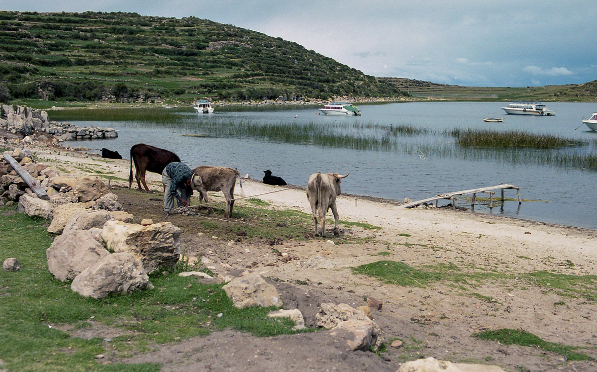 Isla del Sol (Titicaca)
