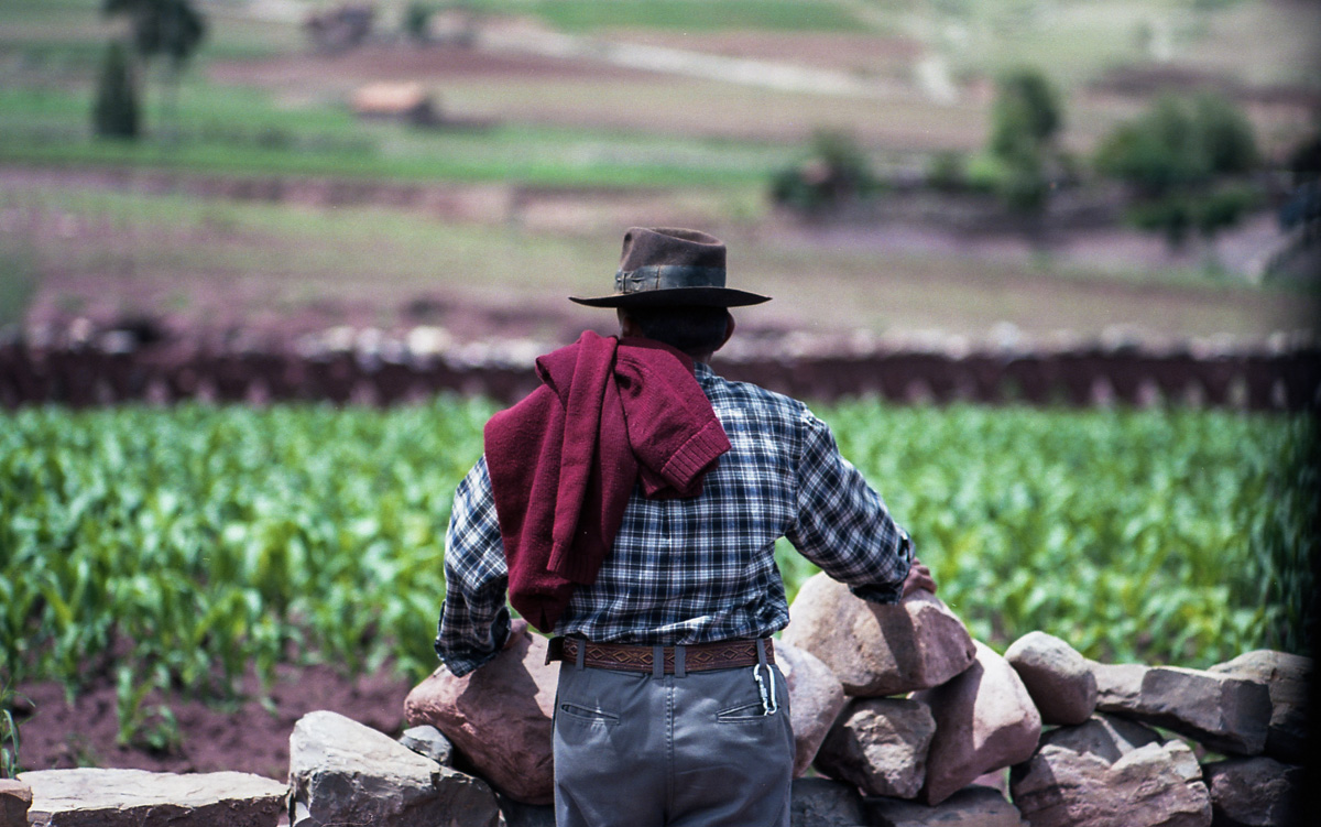 On the Camino de The Inca