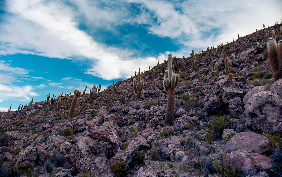 Above the Hotel de Sal