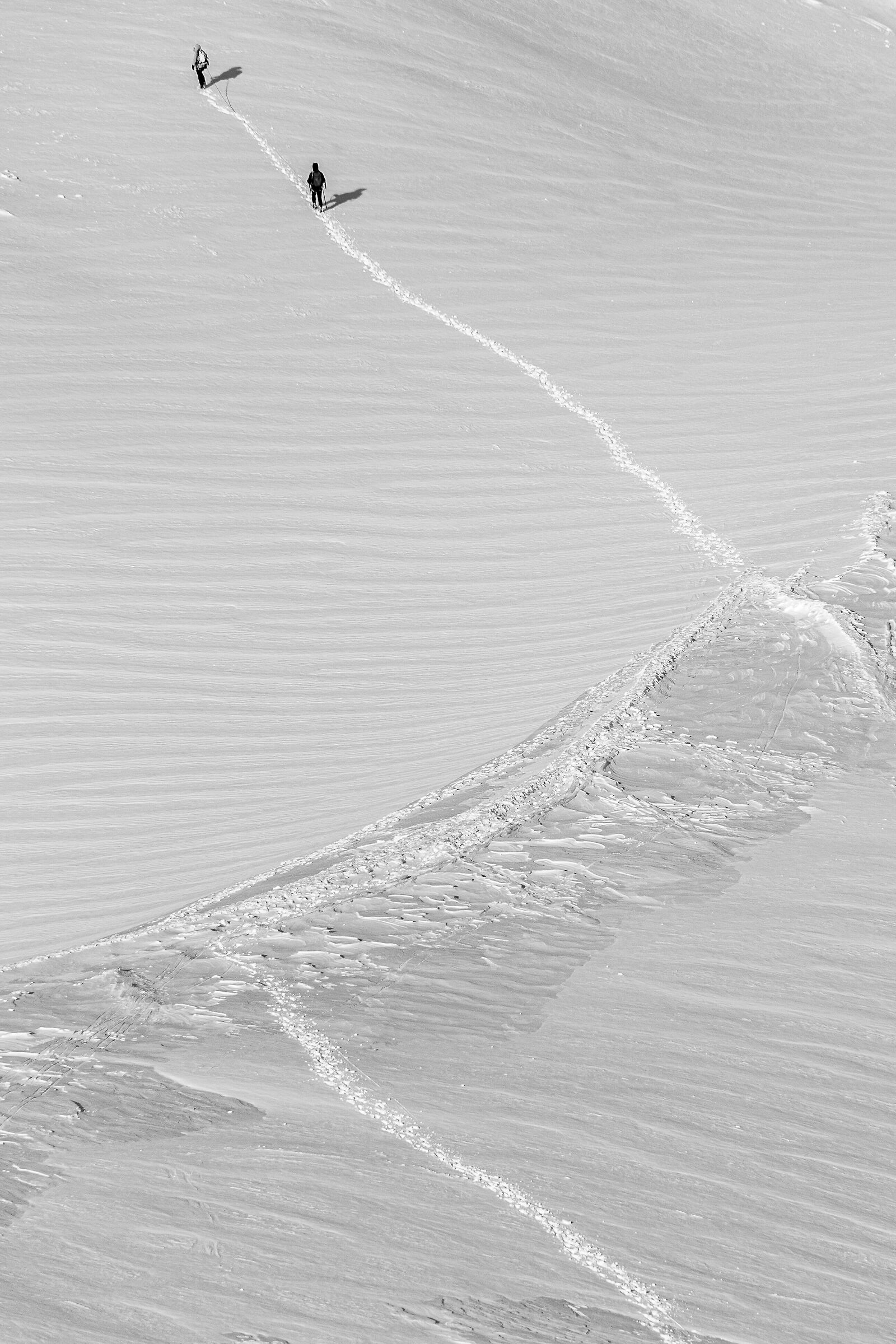 Tracks in a snowdesert