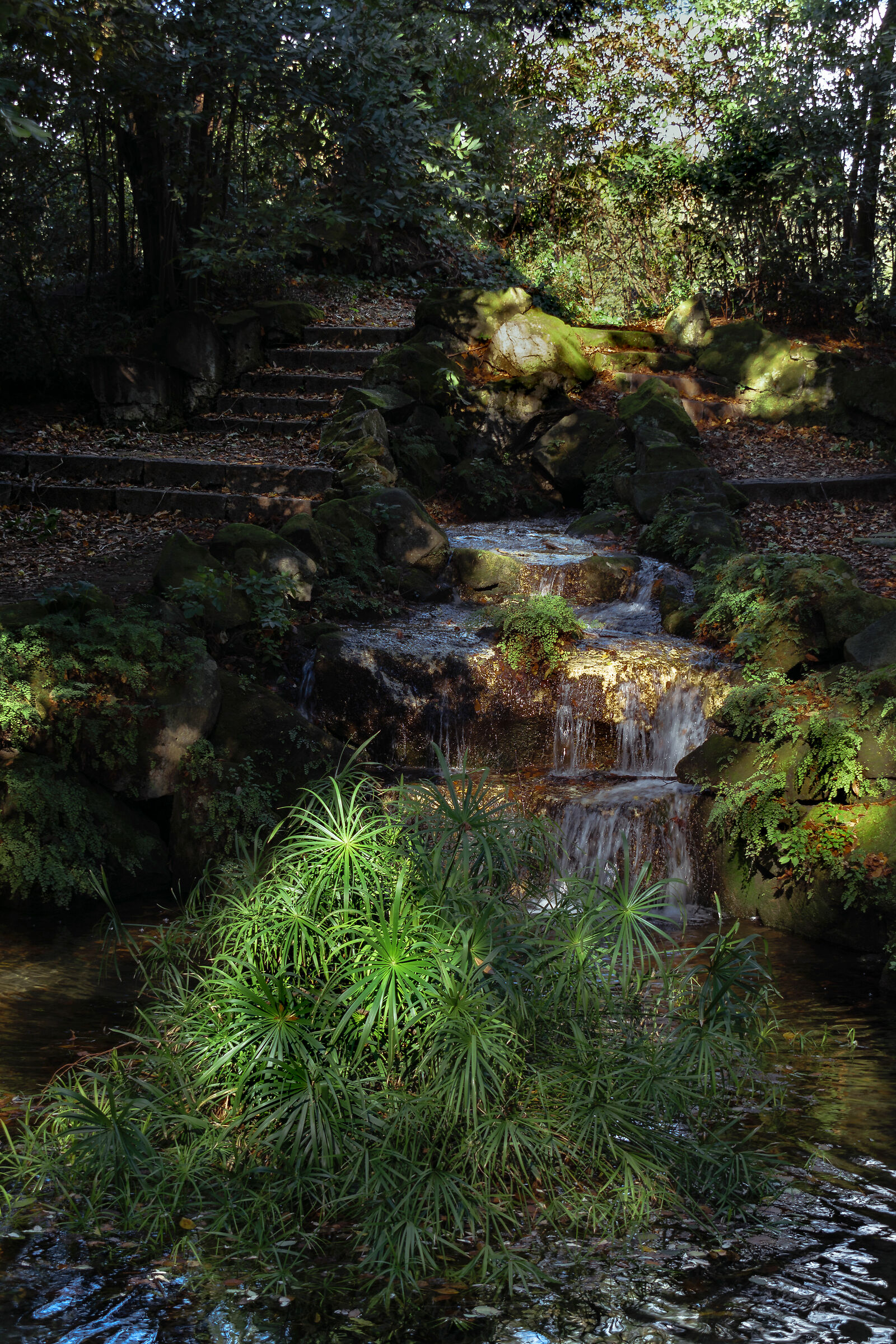 The Enchanted Forest