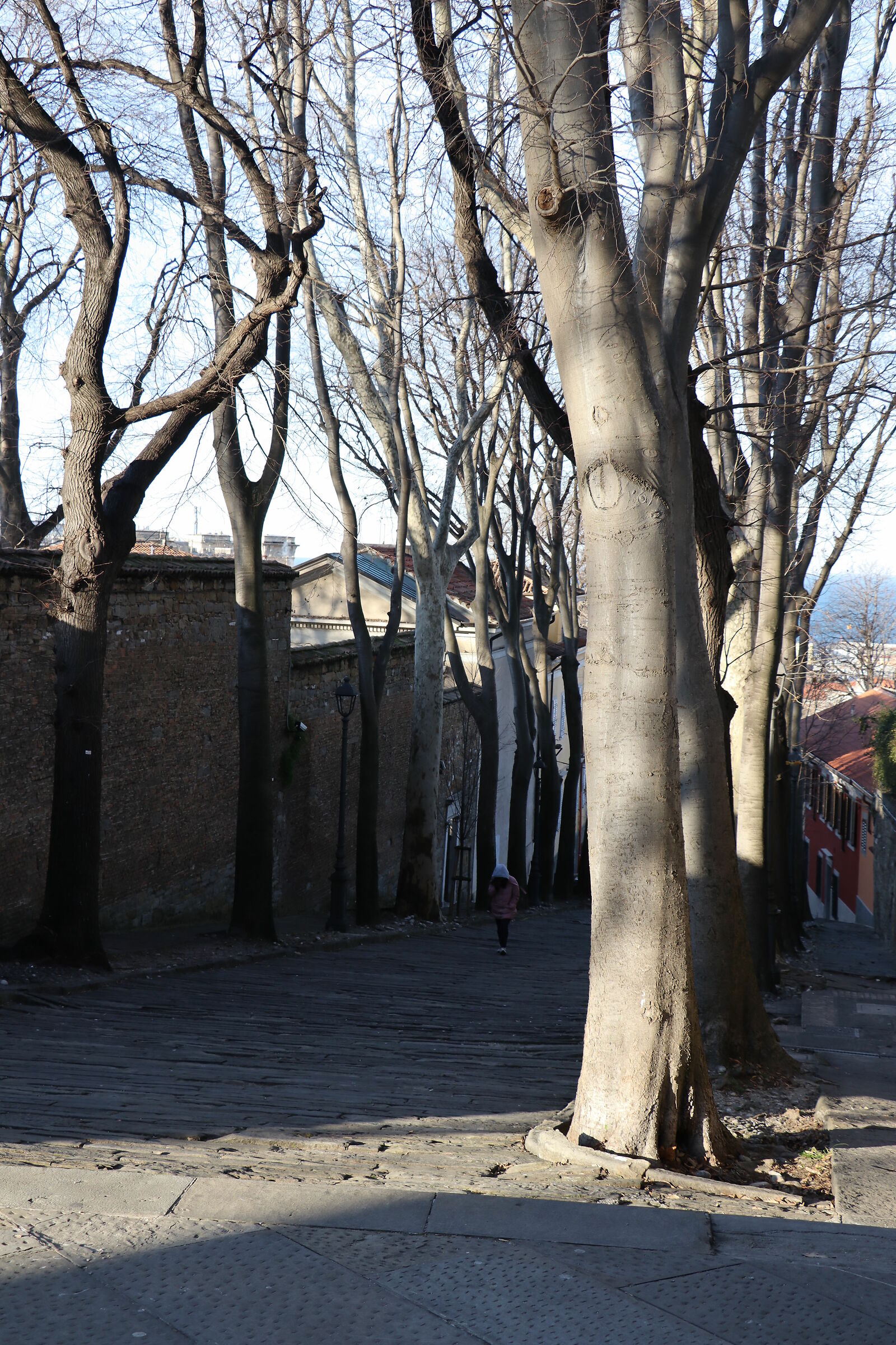 via della cattedrale