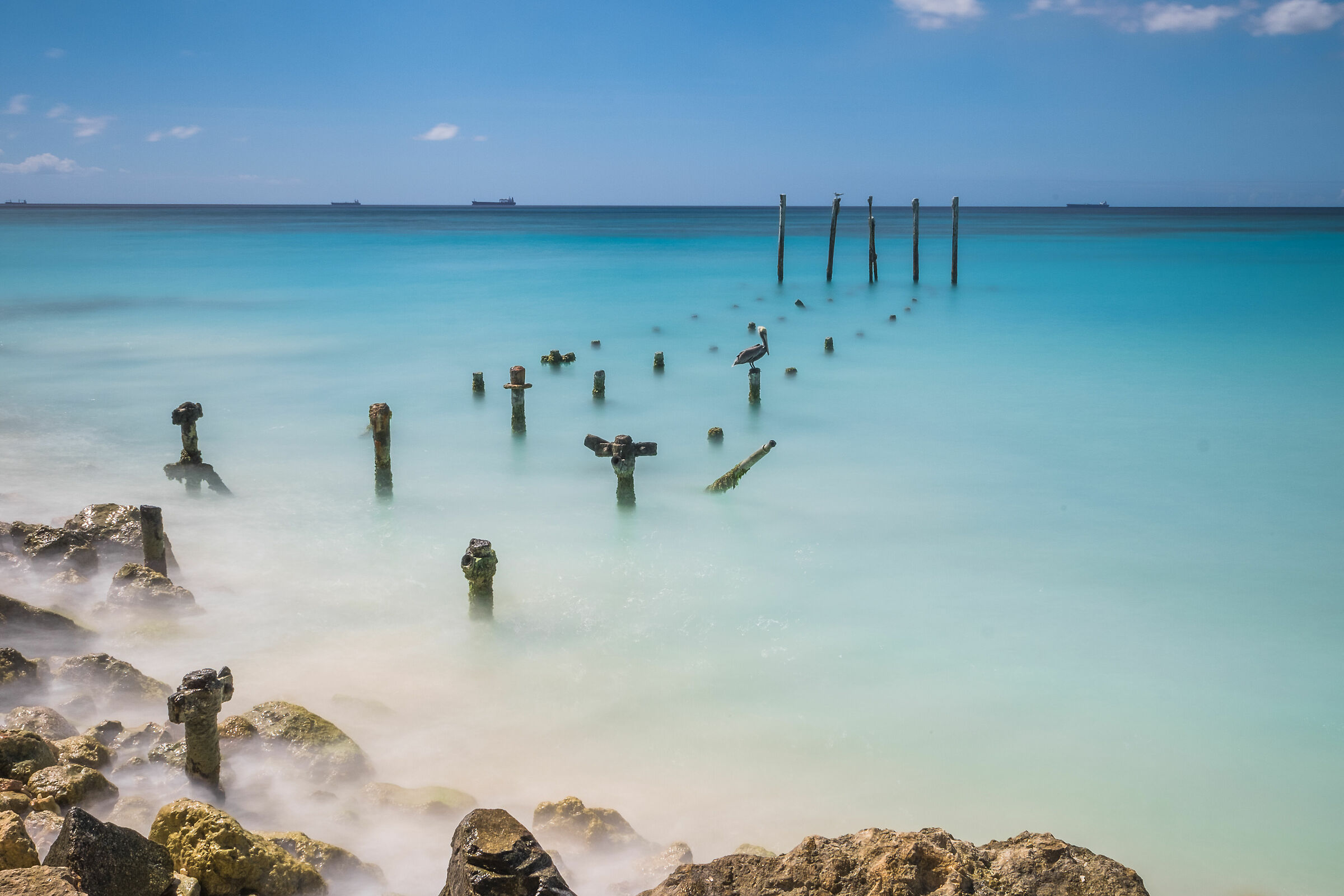 Long exposure with pelican almost motionless