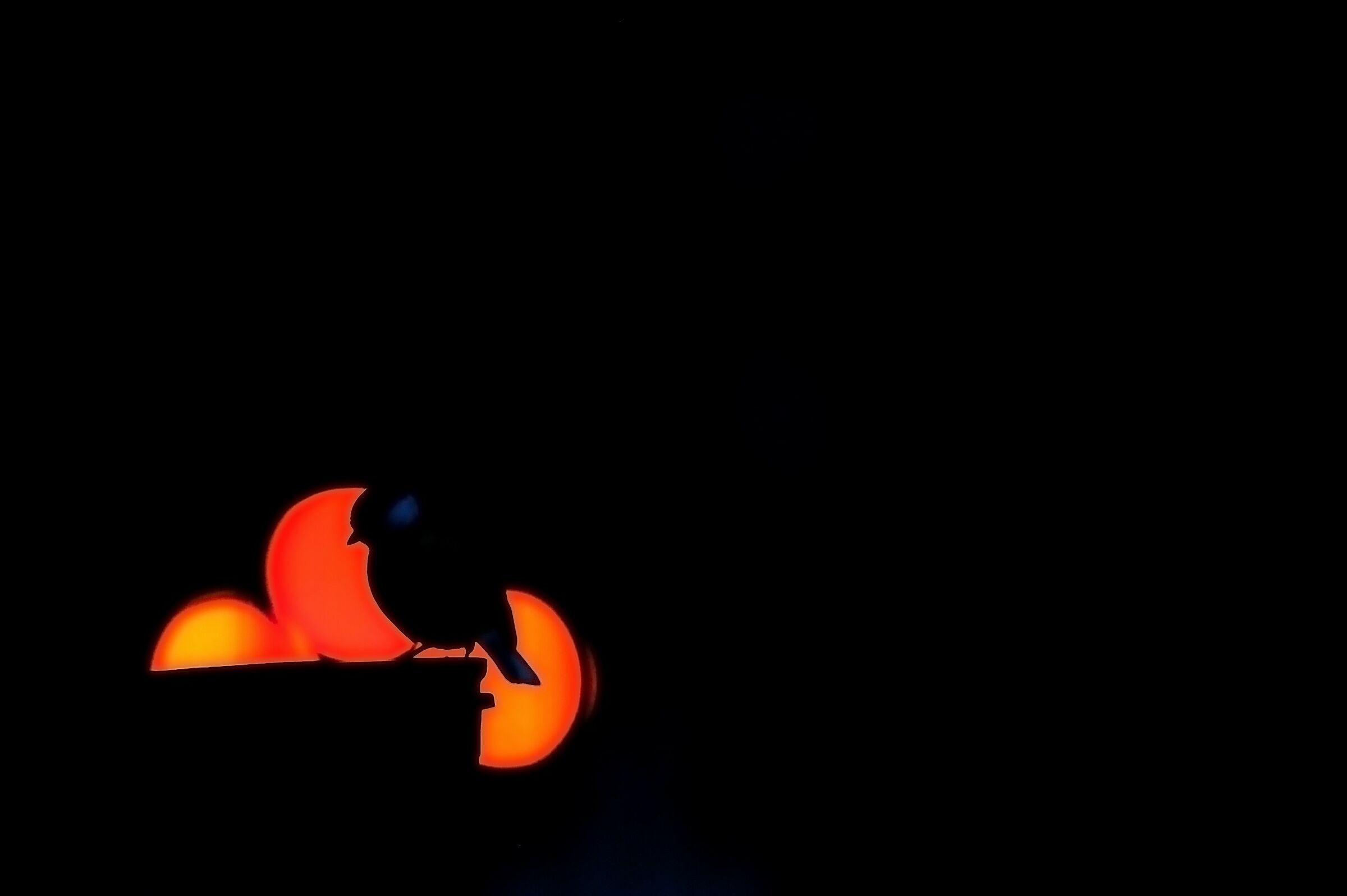 Silhouette