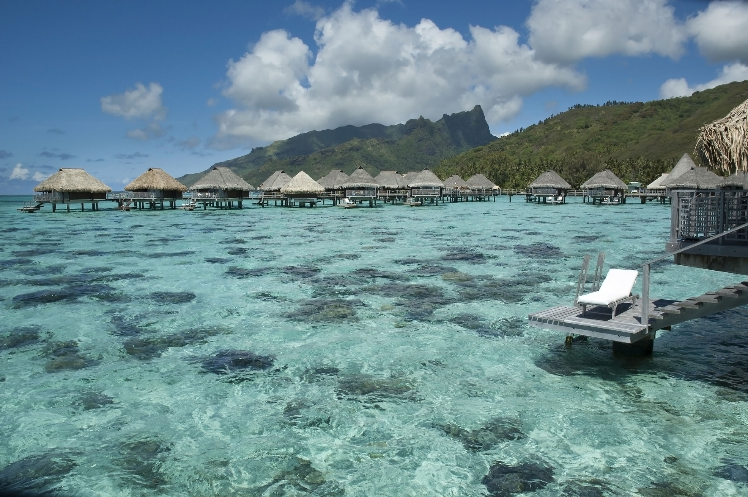 Incantevole Polynesia