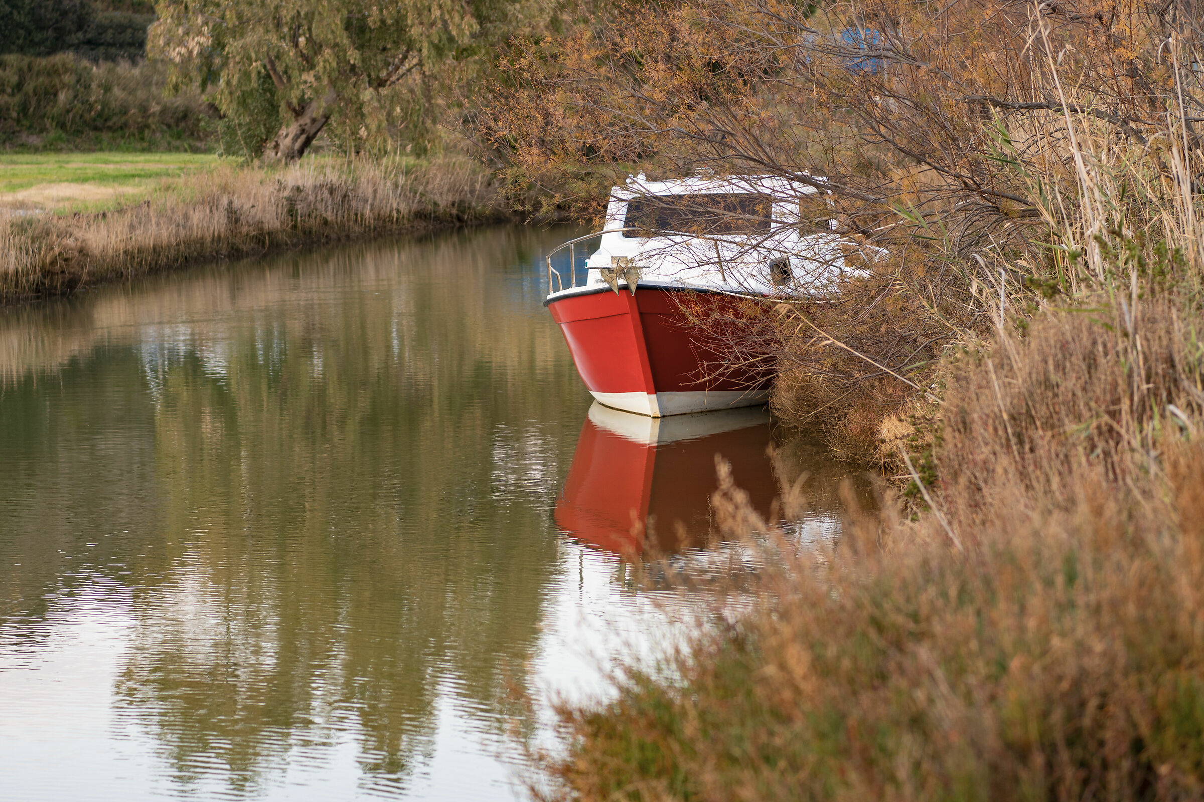 Fossino d'inverno