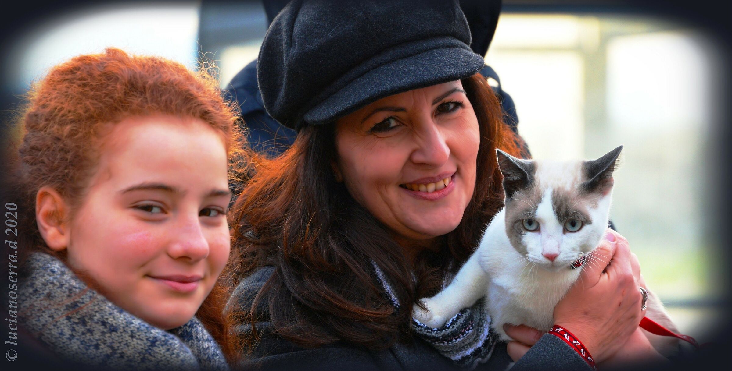 Il micetto curioso alla Festa di Sant'Antonio Abate