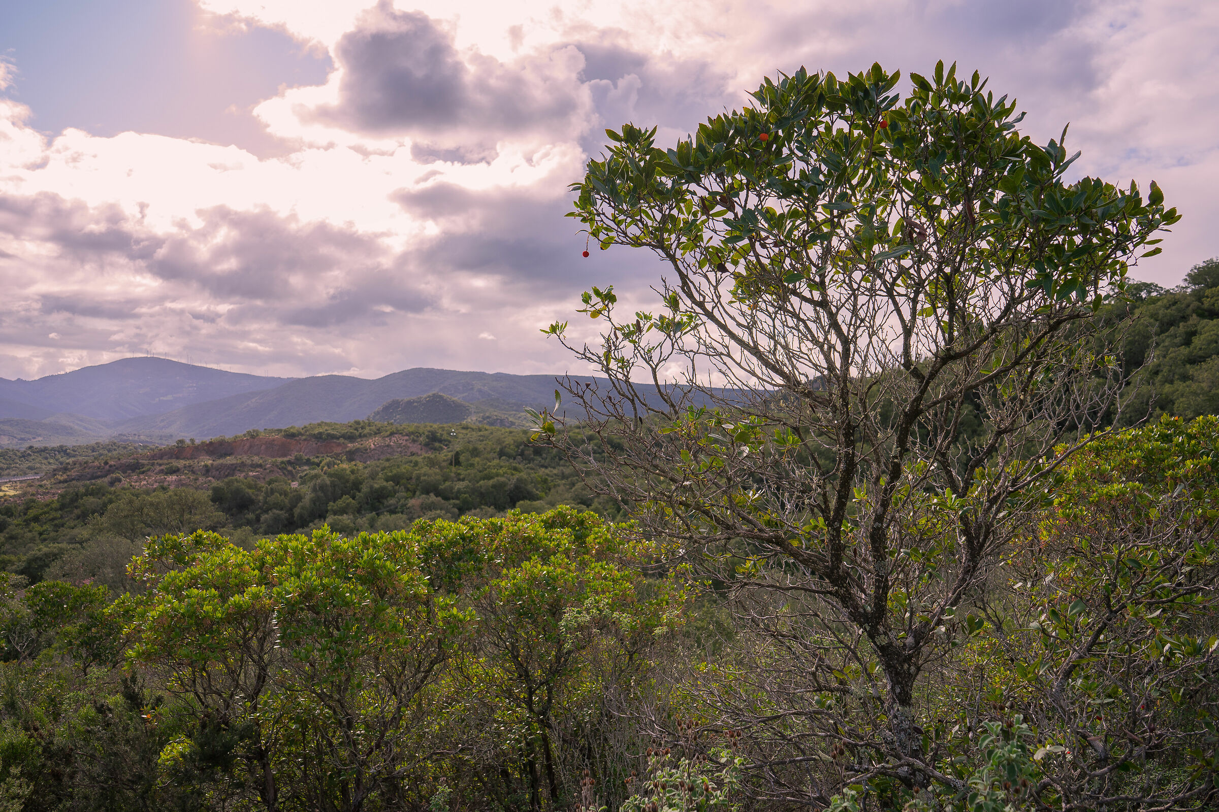 Gallura incontaminata