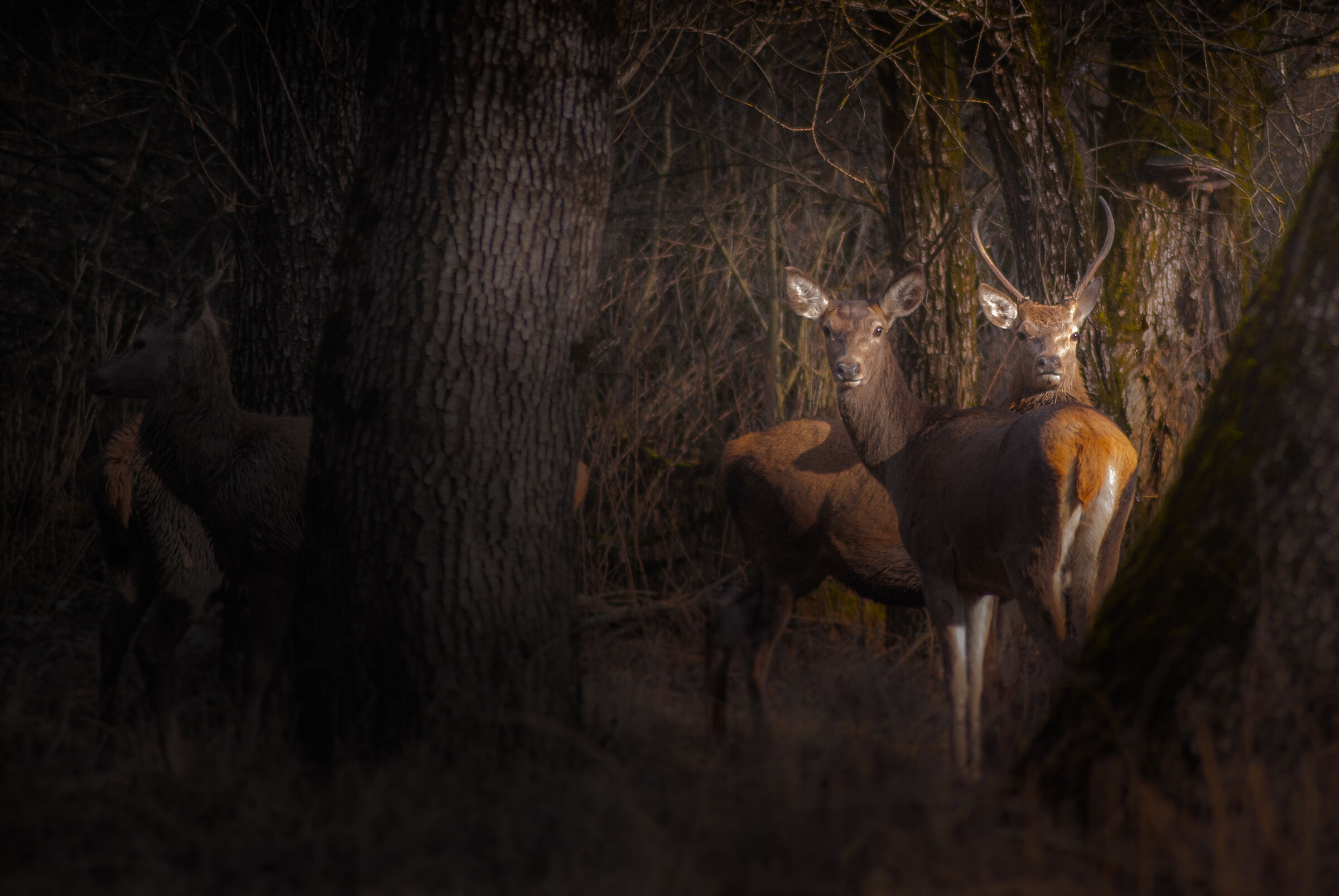 La magia dell'attimo