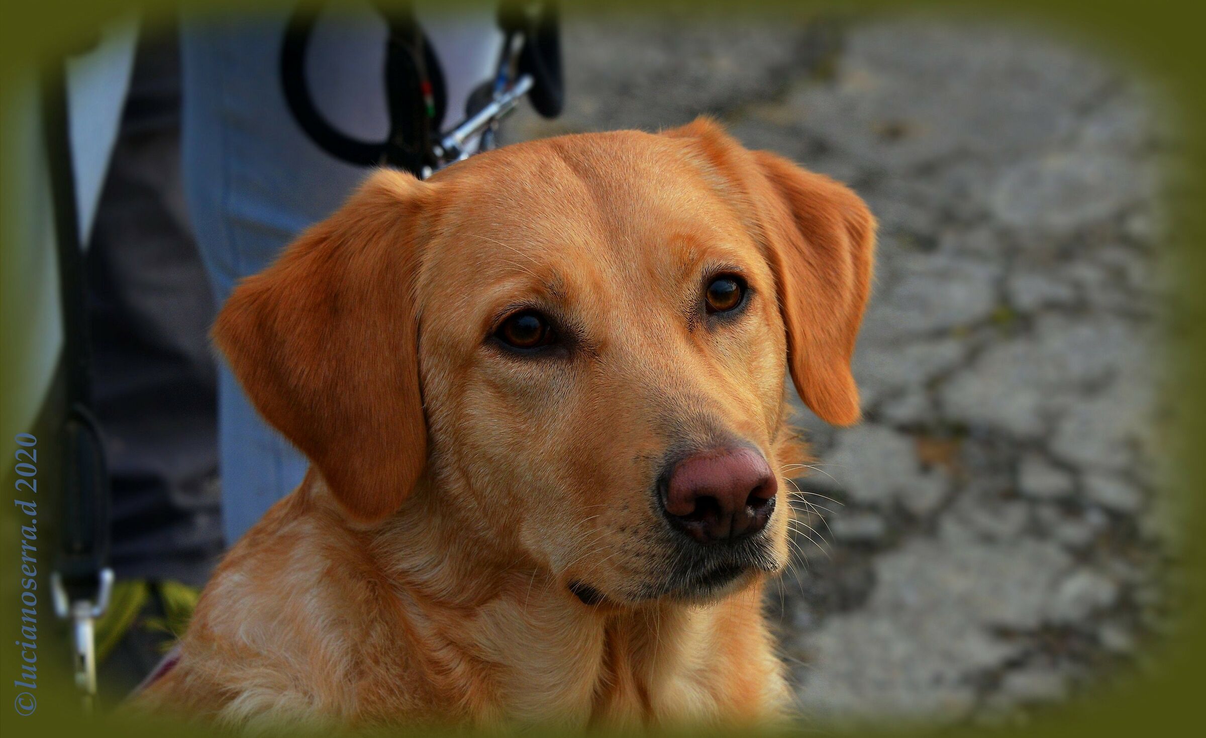 Sono curioso di vedere cosa succederà...