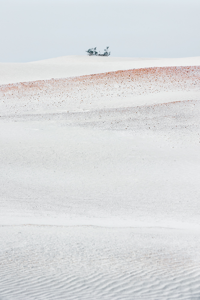 bianco