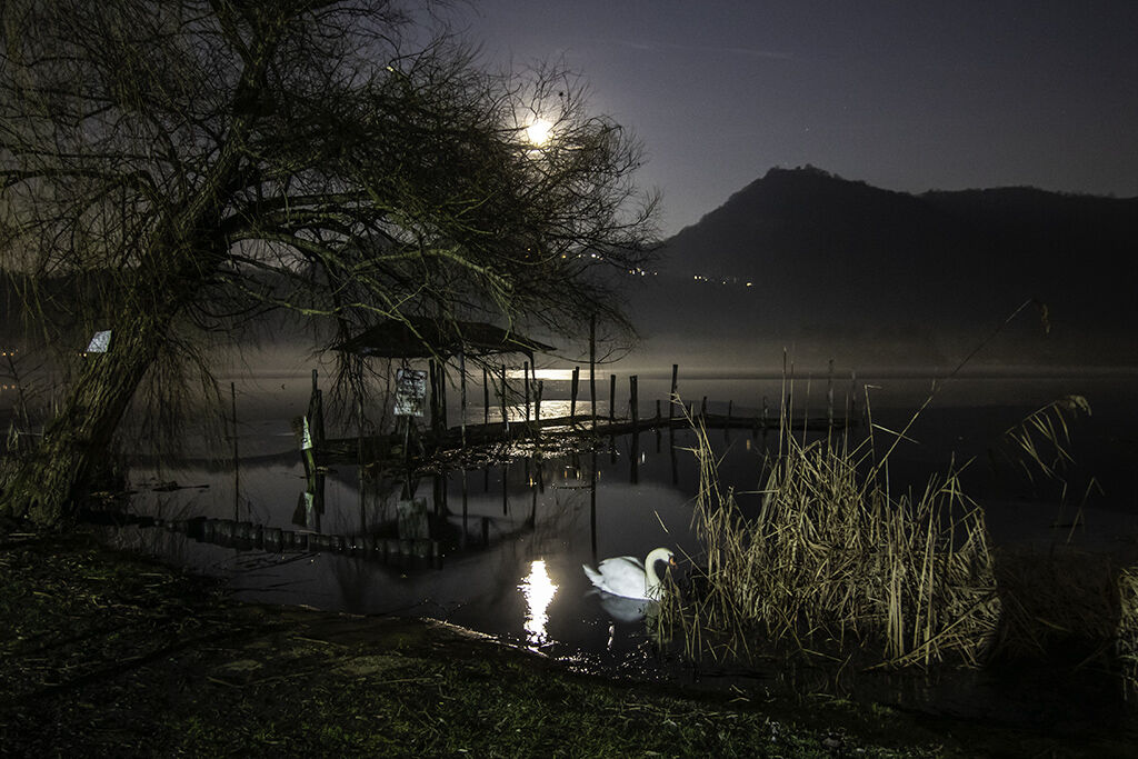 Quattro passi sotto la lna