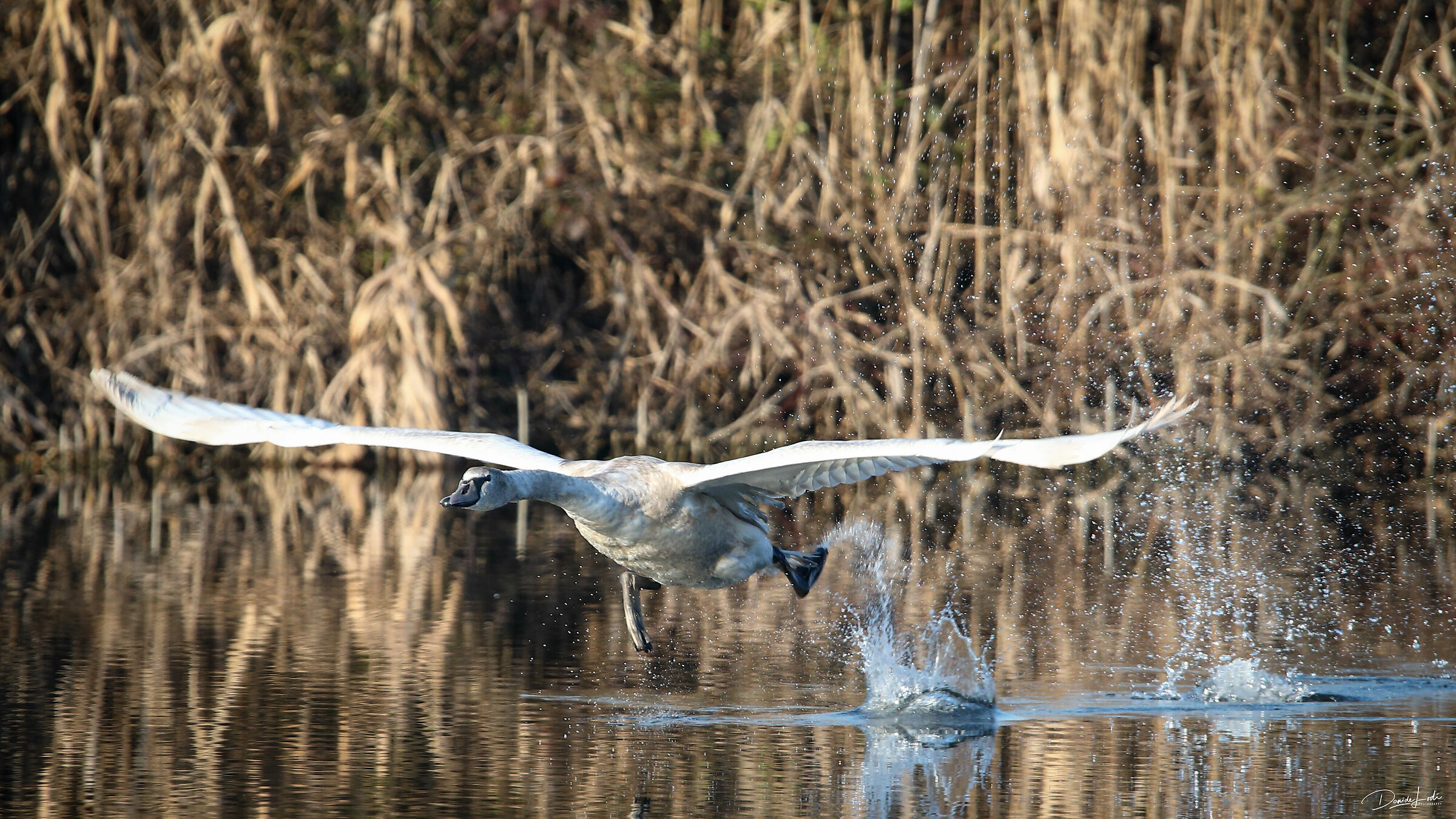 Autorizzato al decollo