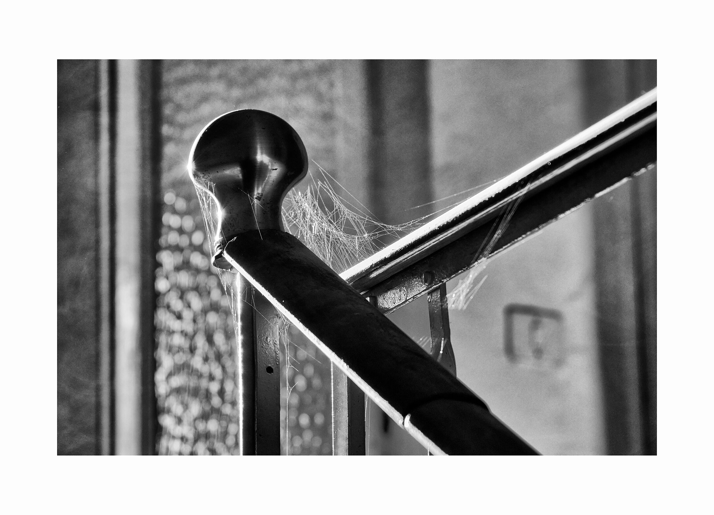 L'ultimo che è stato qui