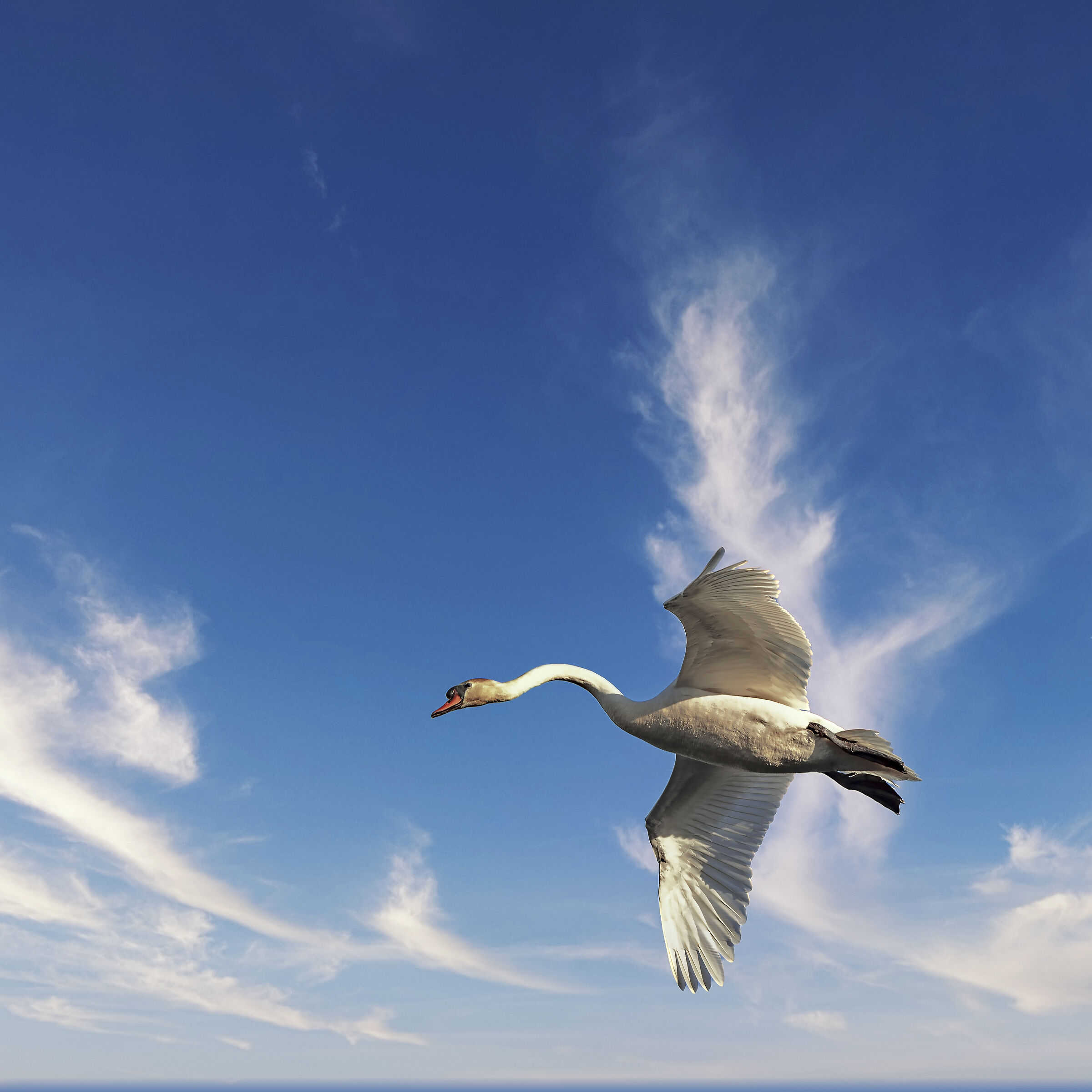 Dedicated to my friend Adriano