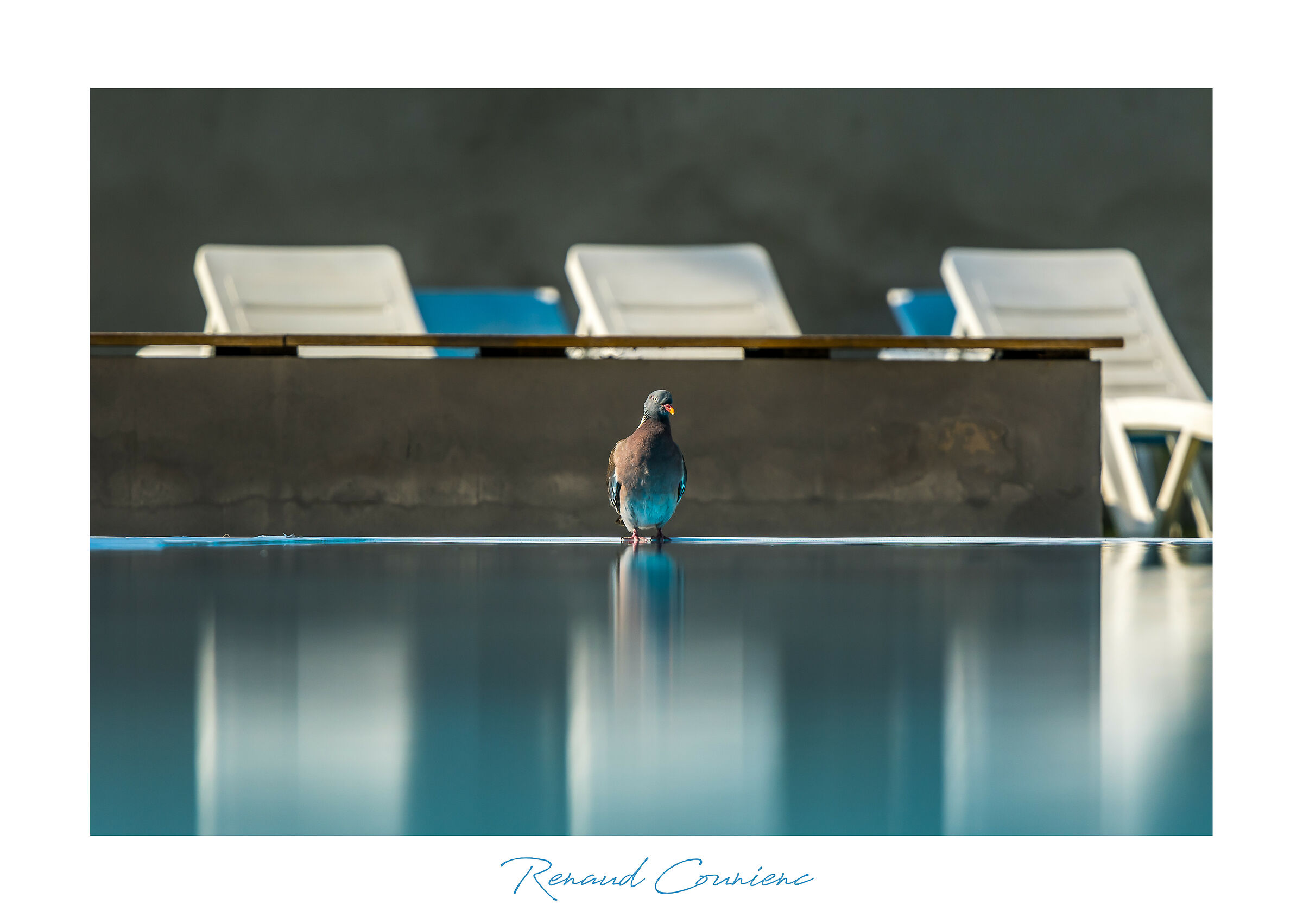 I vantaggi dell'hotel