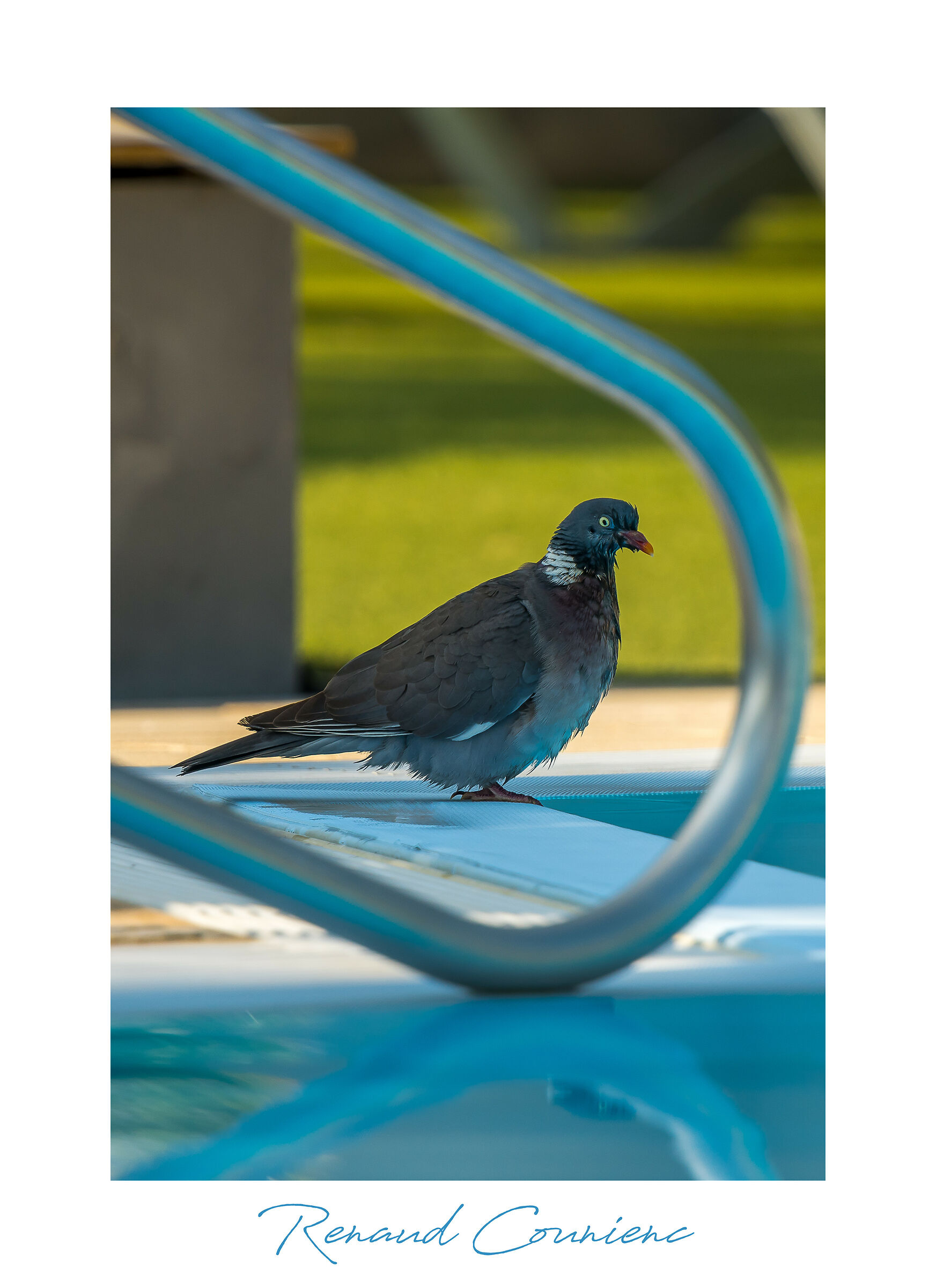 Nuotare mattutino presso la piscina dell'hotel