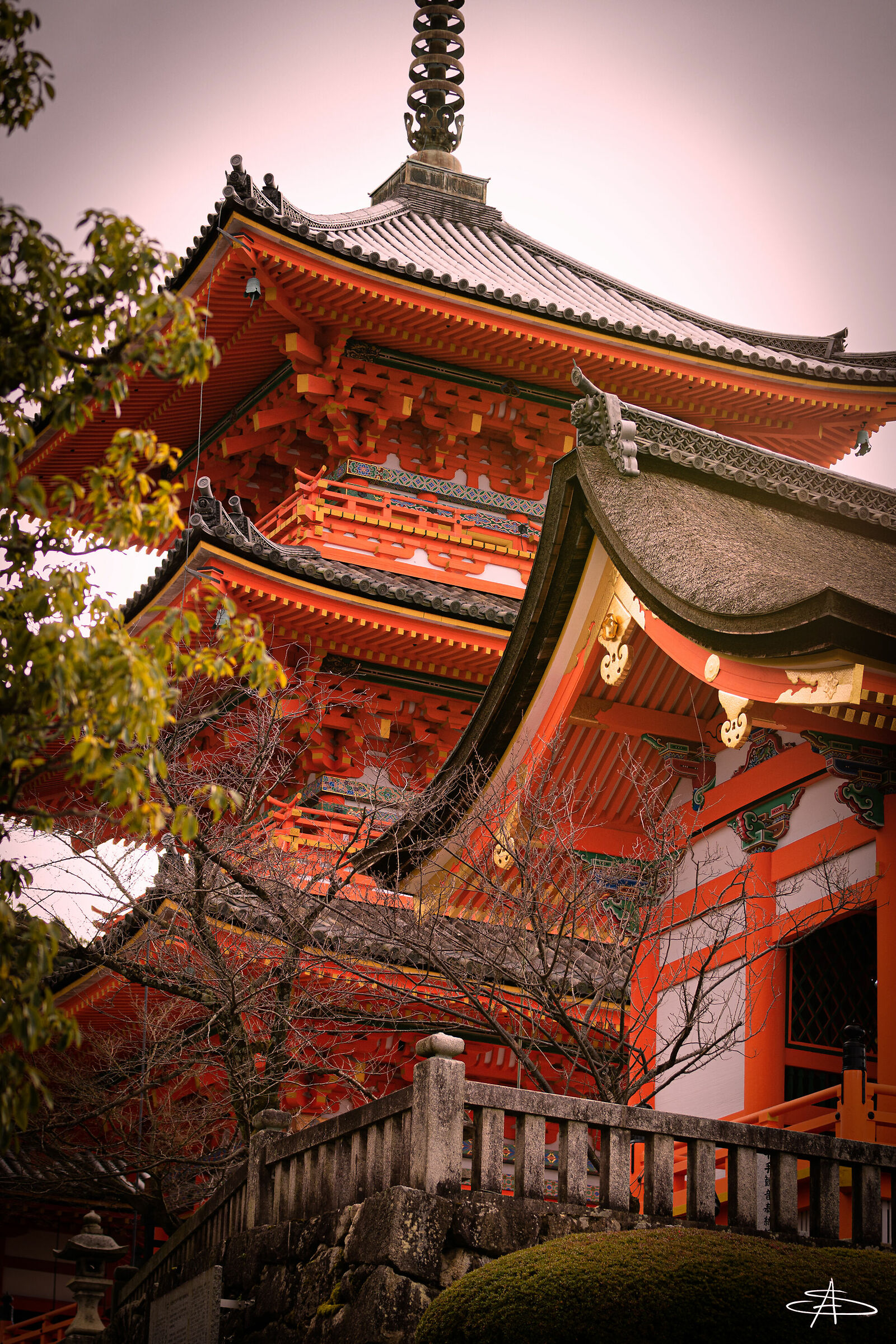Untitled Photo