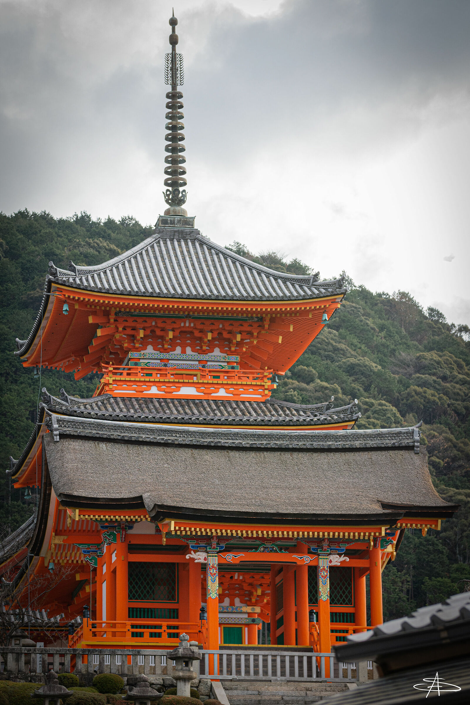Untitled Photo