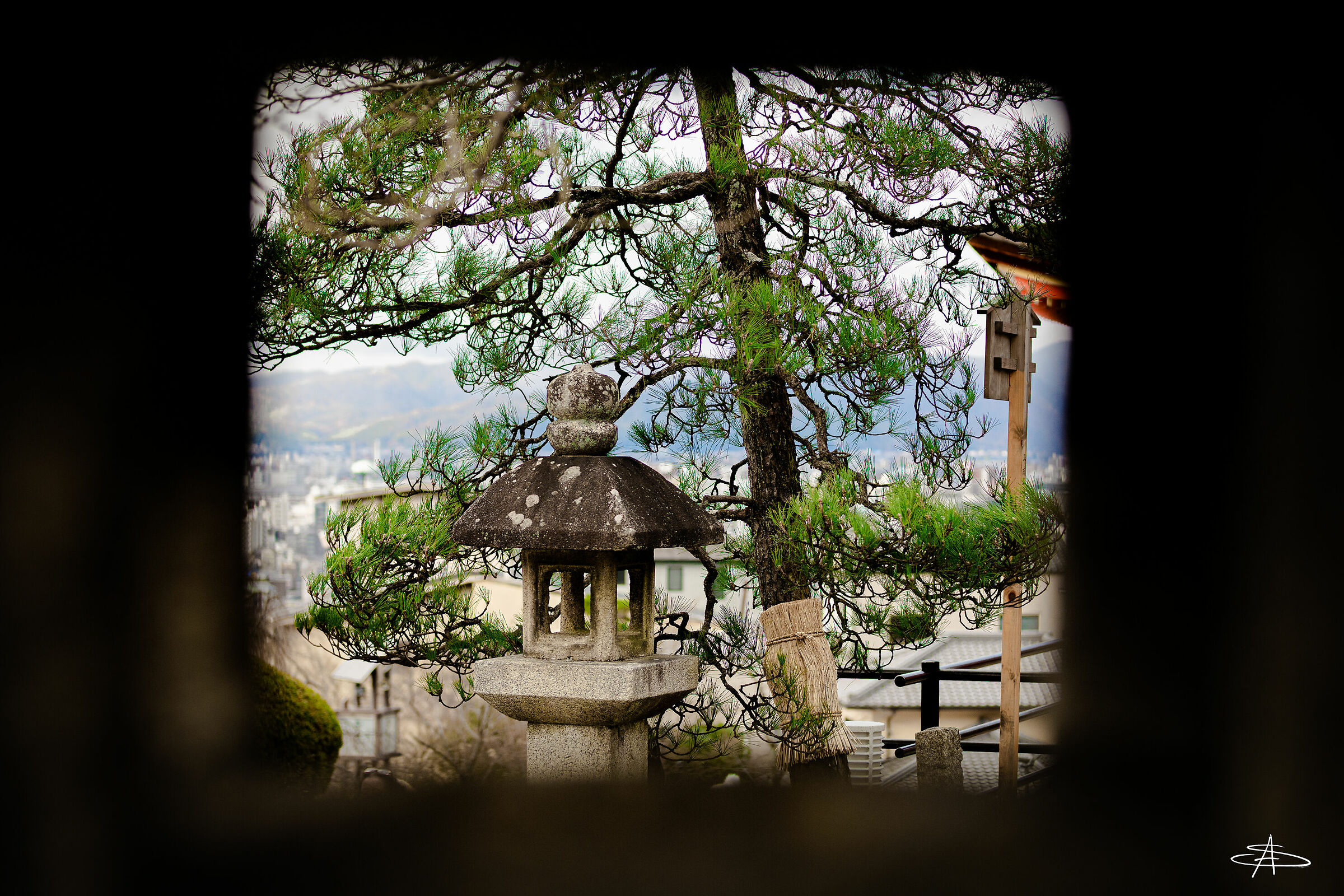 Untitled Photo