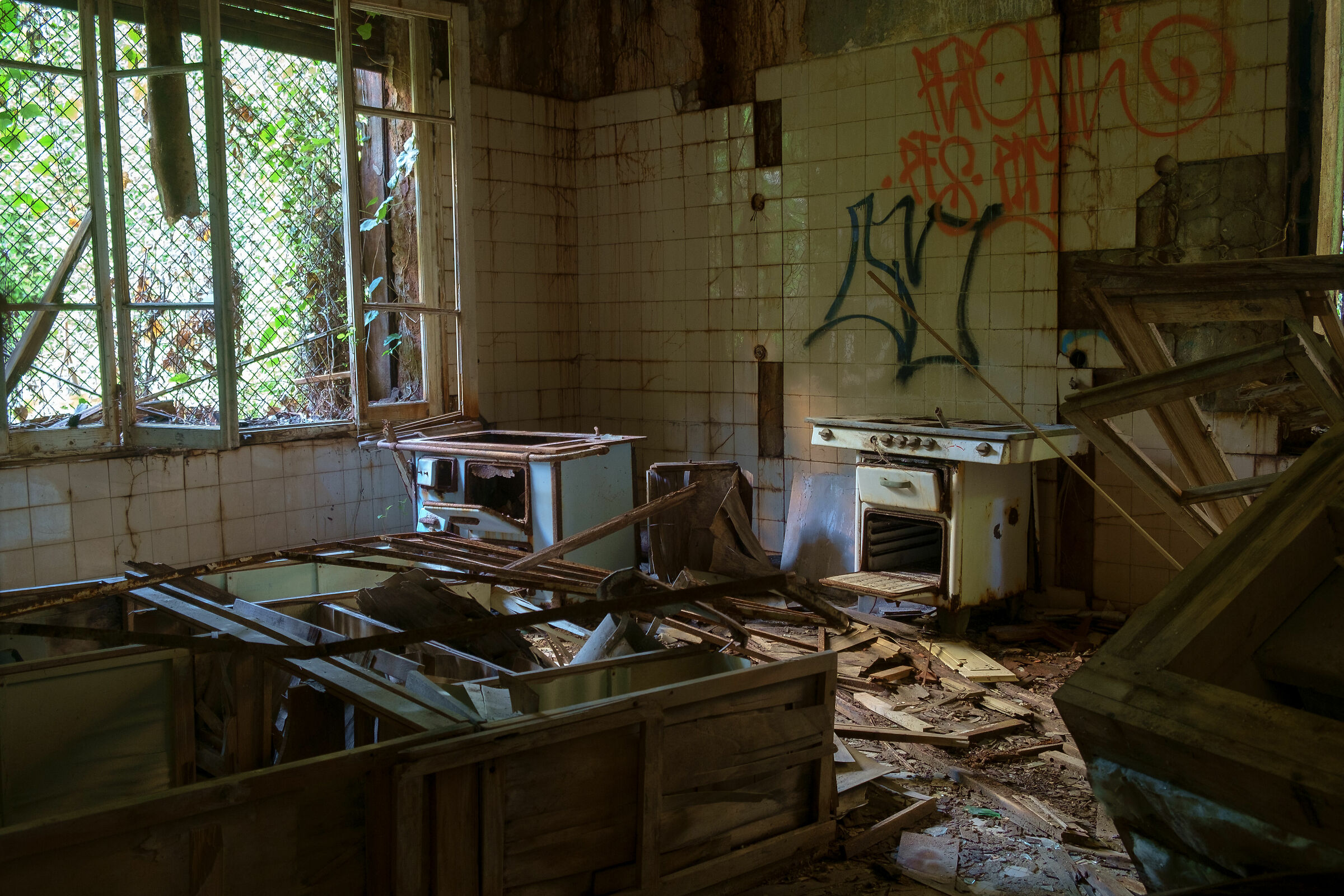 Cooking in a natural environment