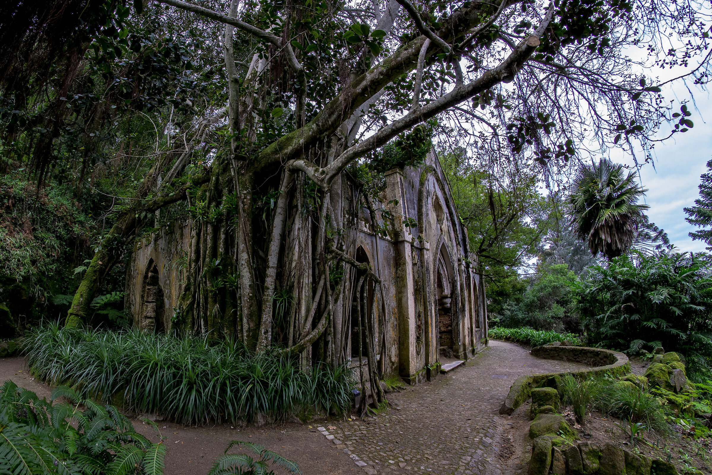 Church in ruins