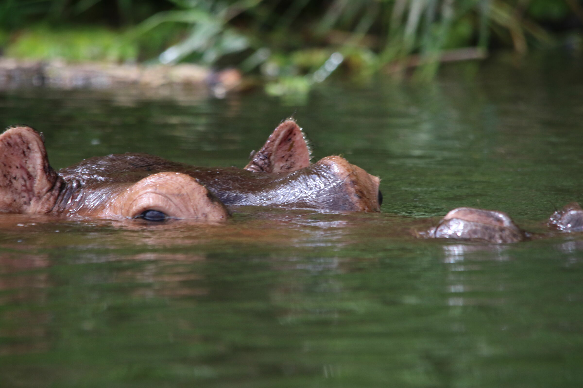 Sguardo a filo d'acqua