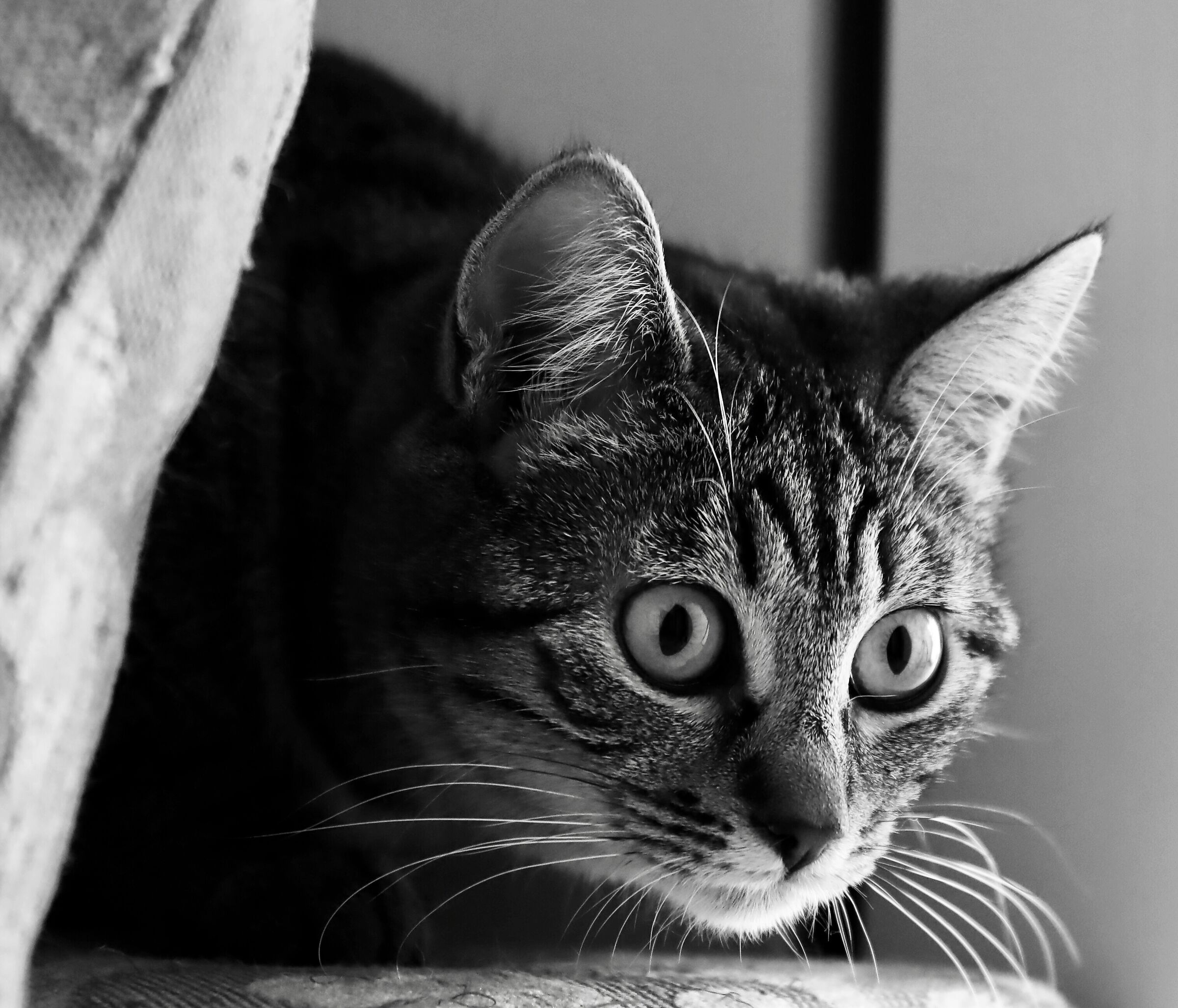 Do I dream or am I anointd?