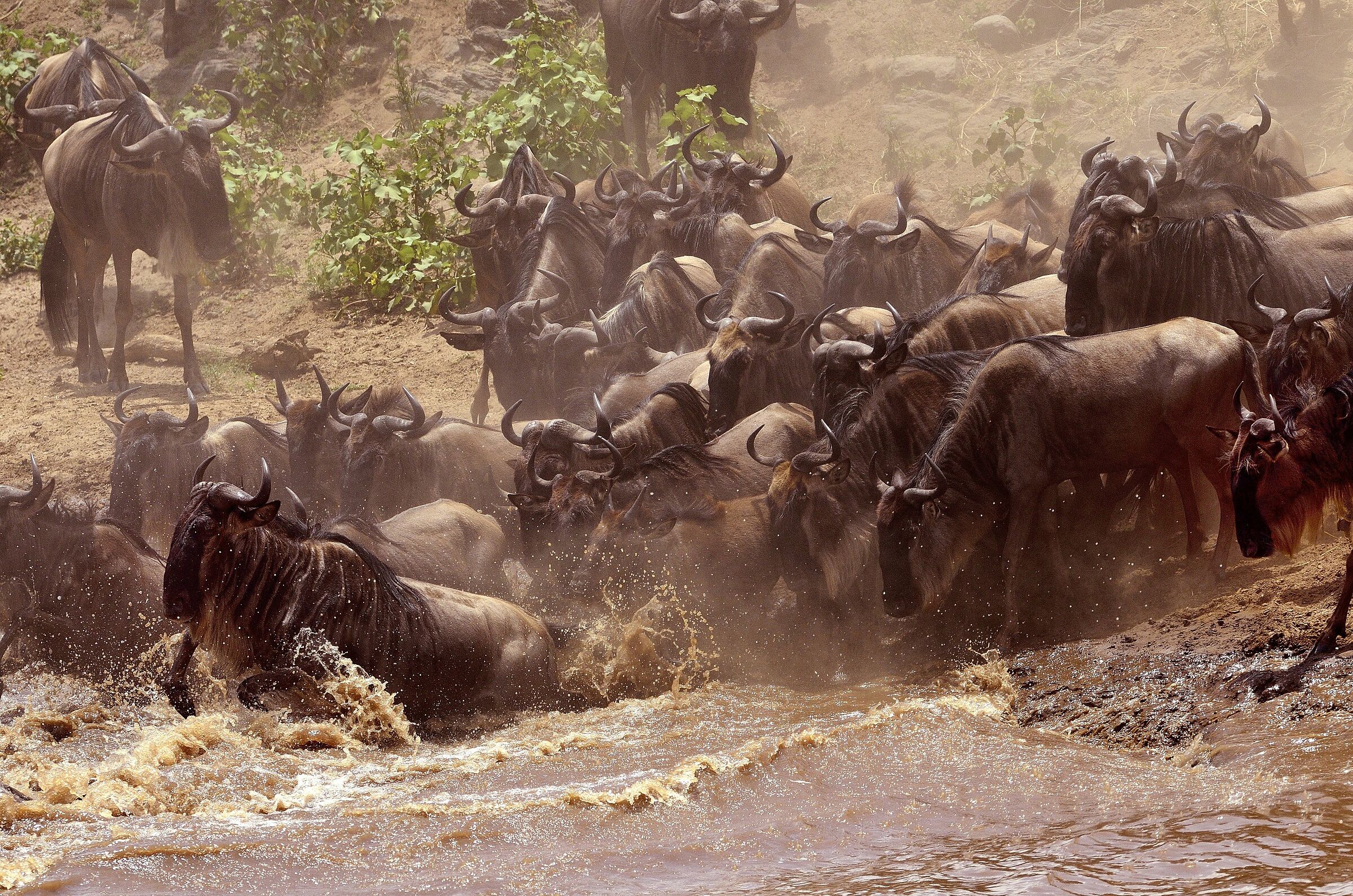 ... and color crossing