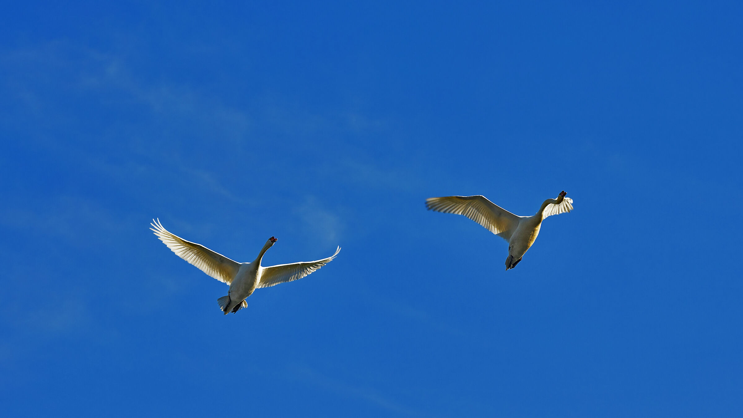 In blue painted blue