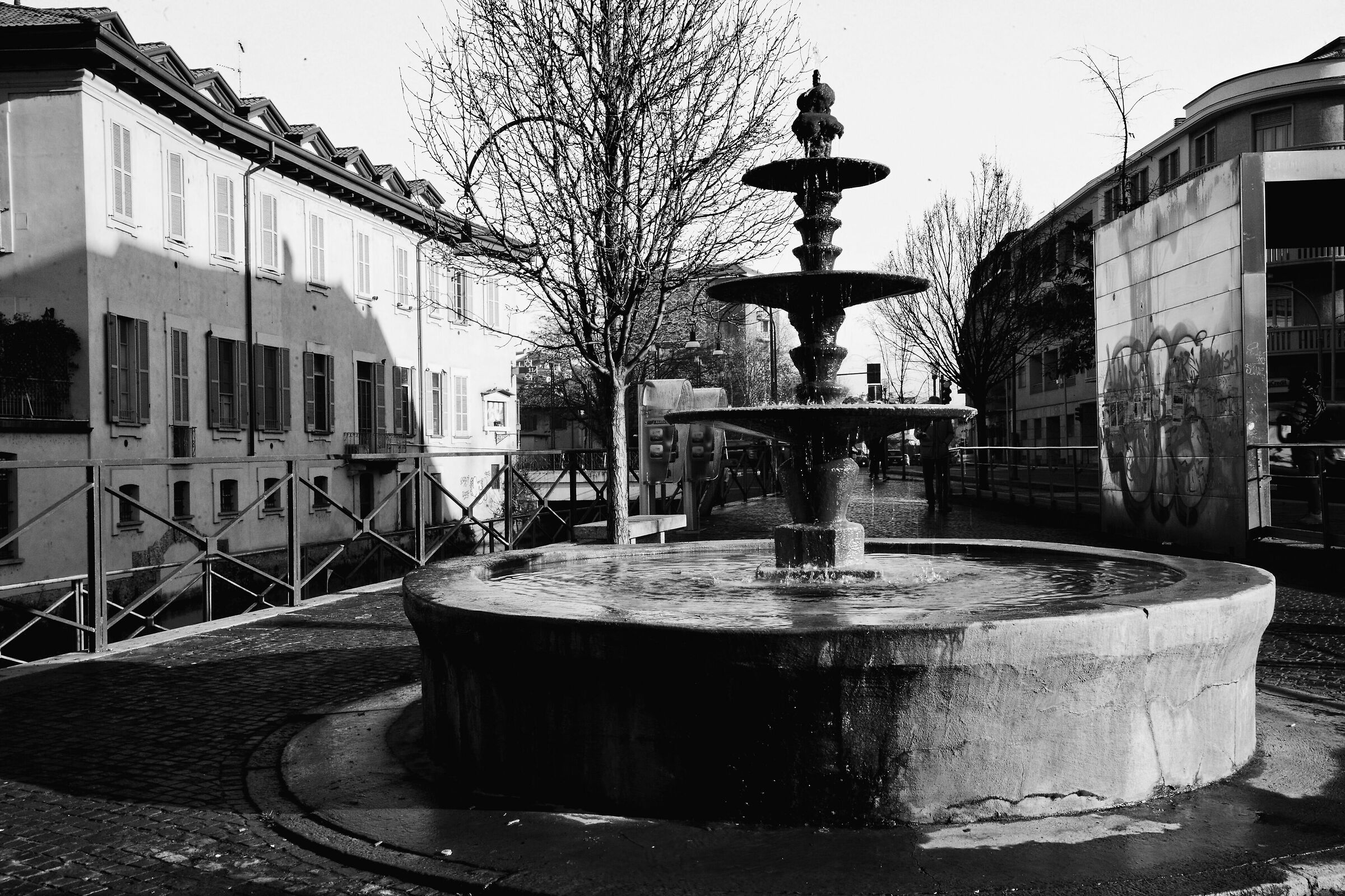 neighborhood growing as it used to