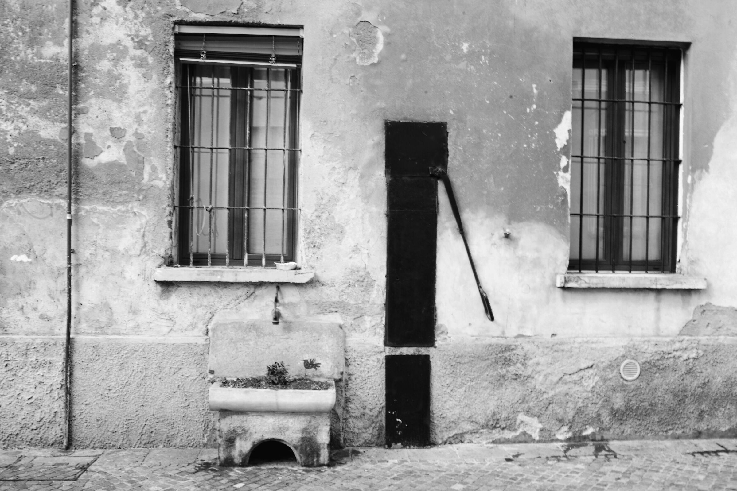 neighborhood growing as it used to