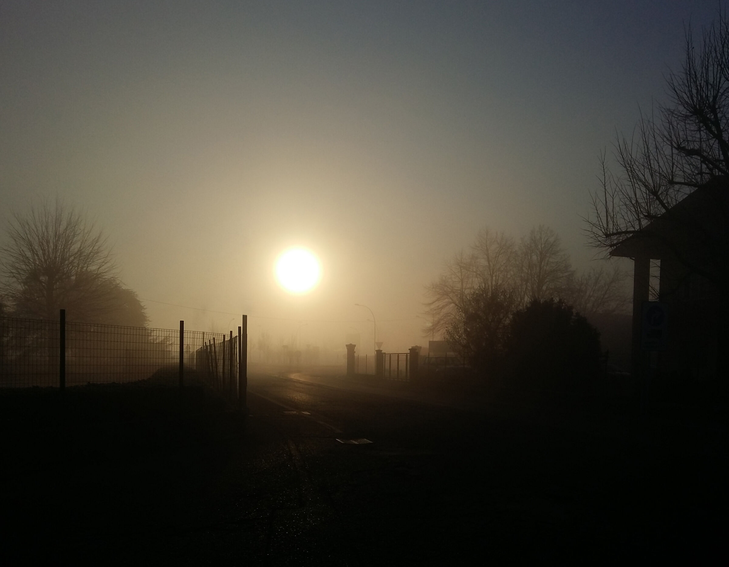 La nebbia rende le cose meravigliose