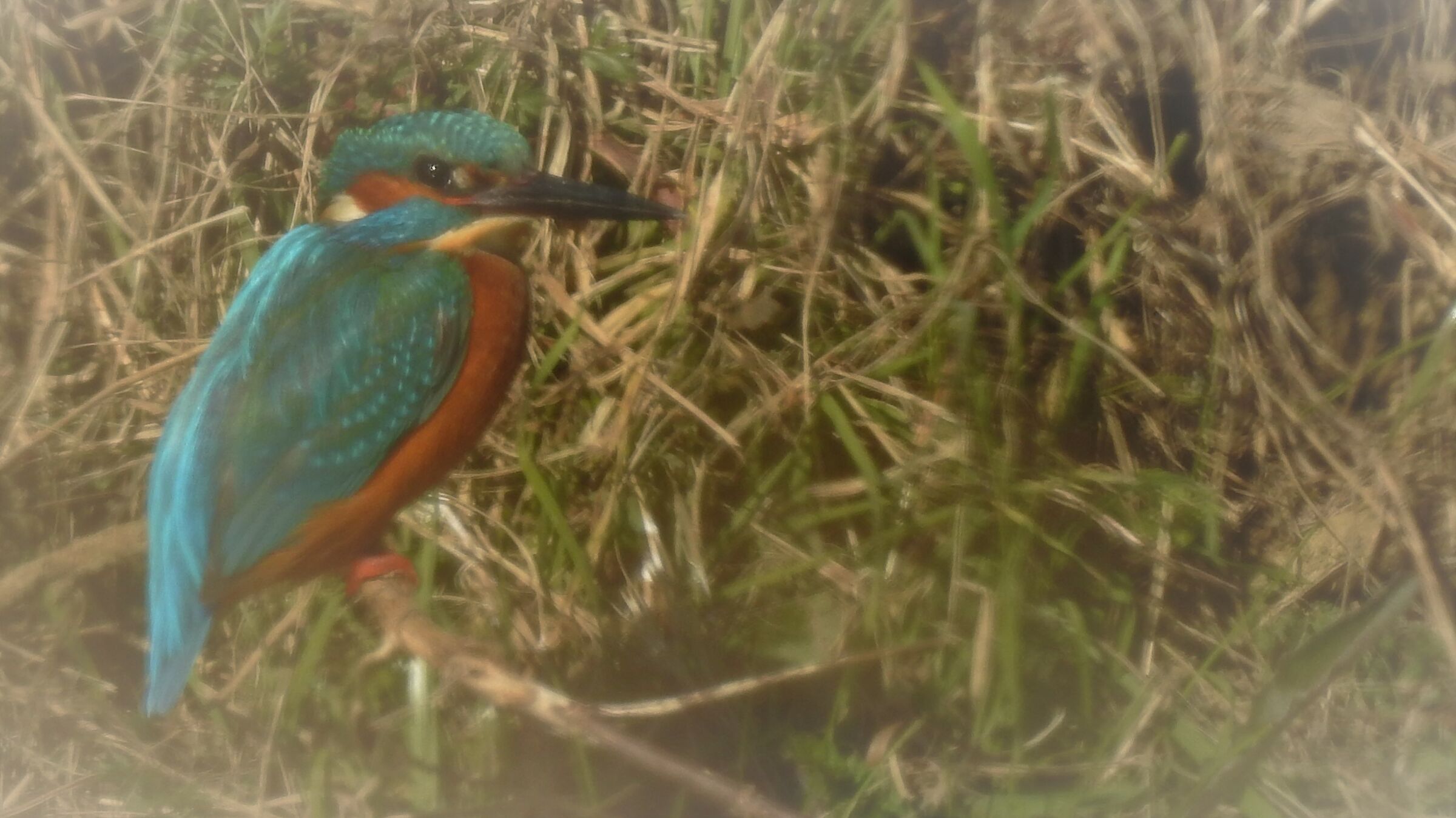 Avvicinamento riuscito