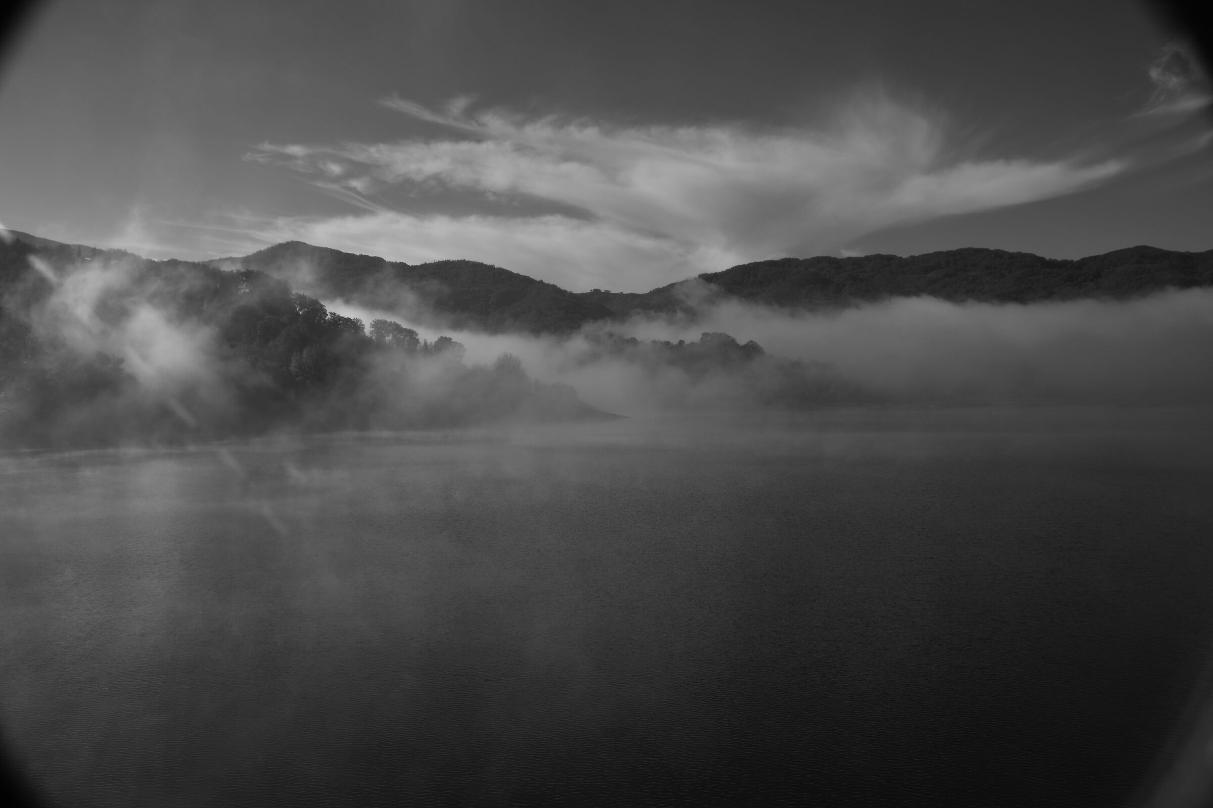fog on the lake