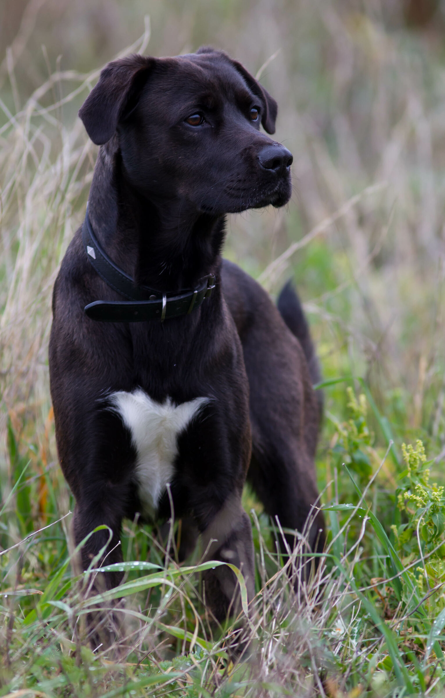 Enea, incontro occasionale