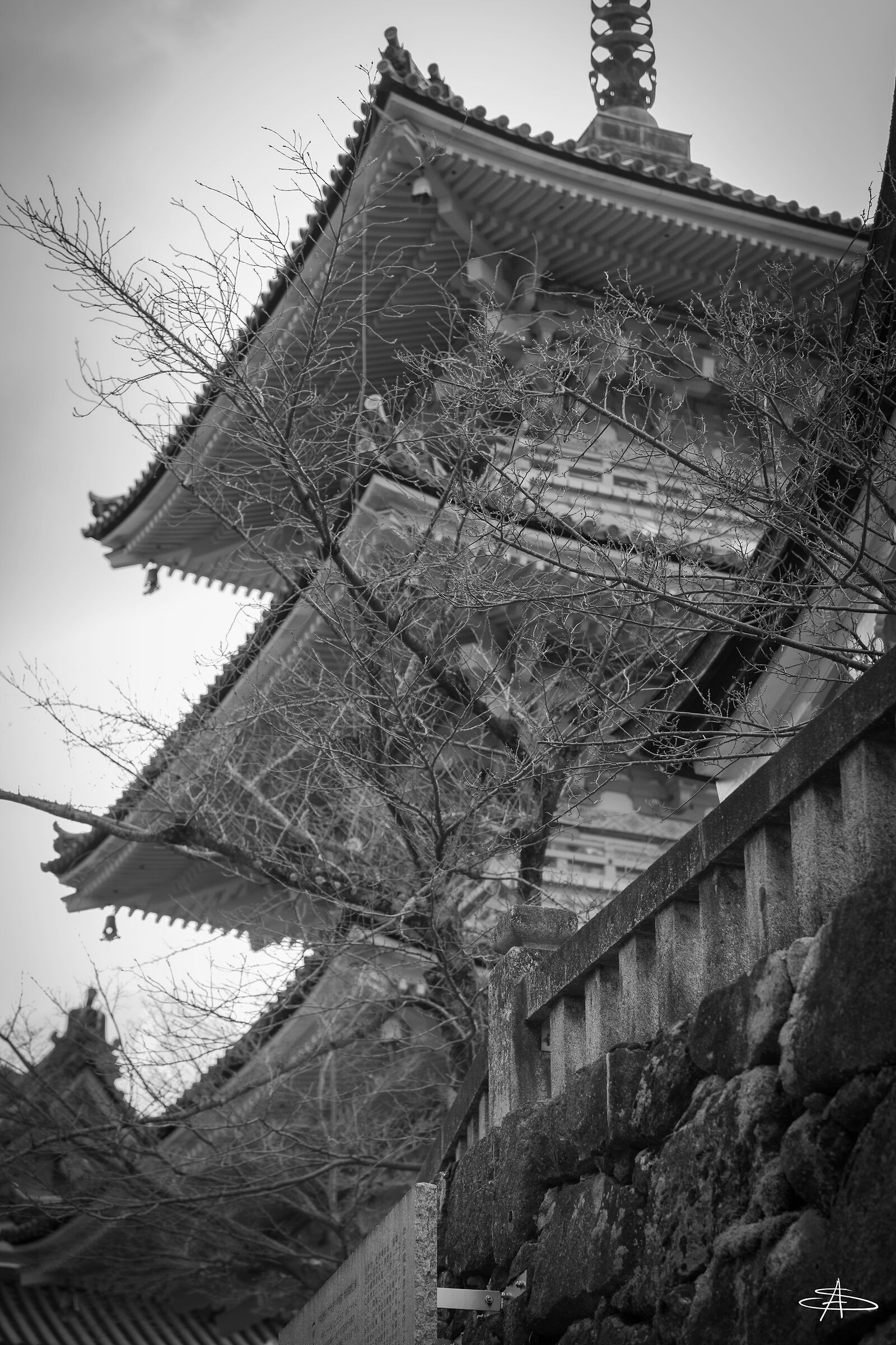Untitled Photo