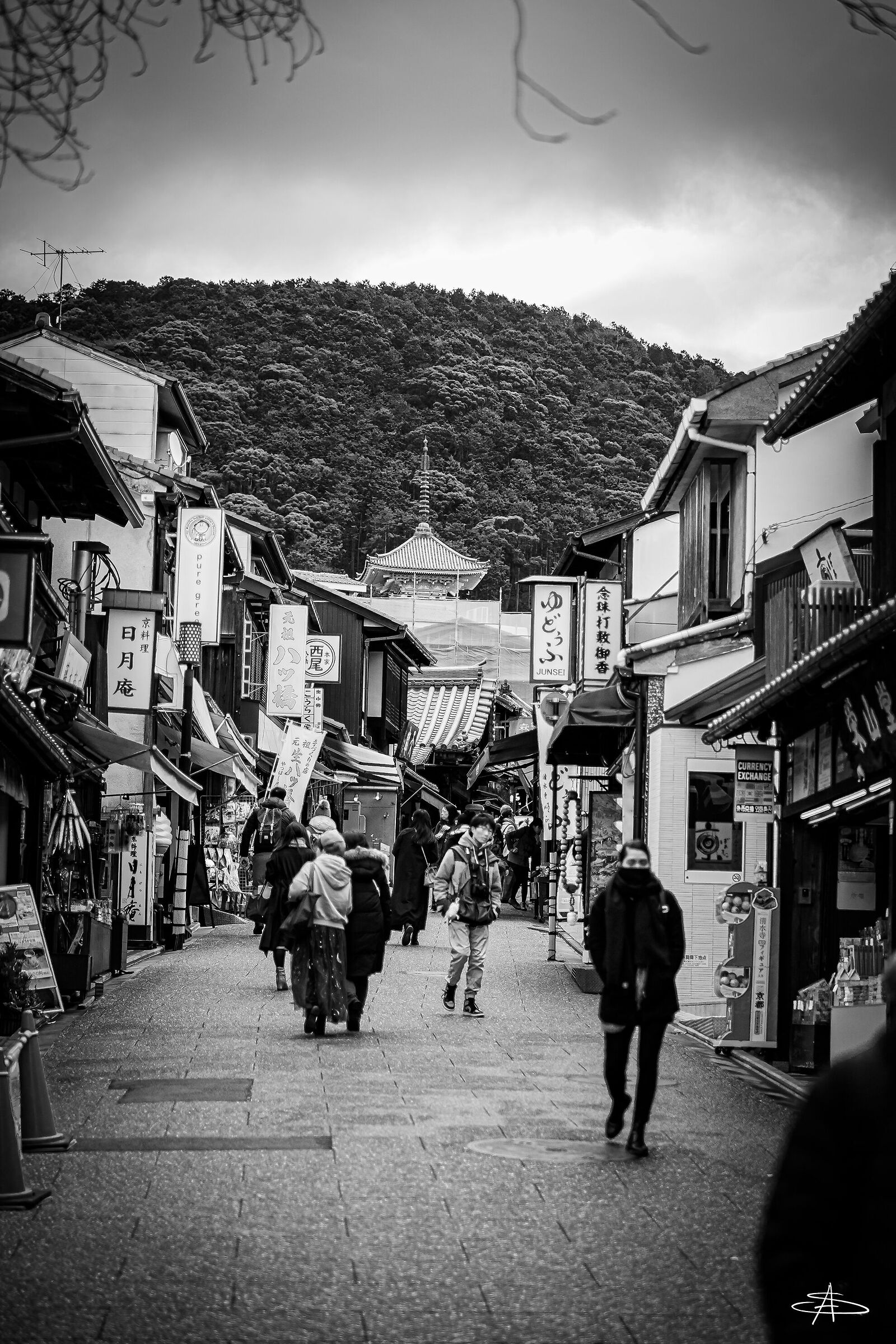 Untitled Photo