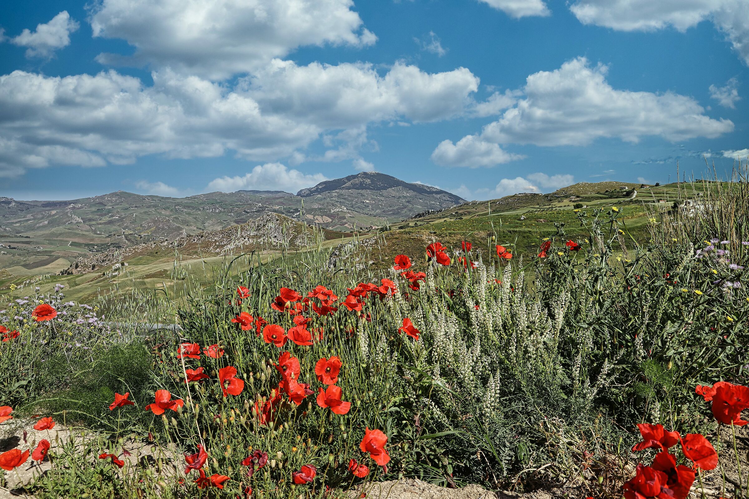 Aspettando la primavera.