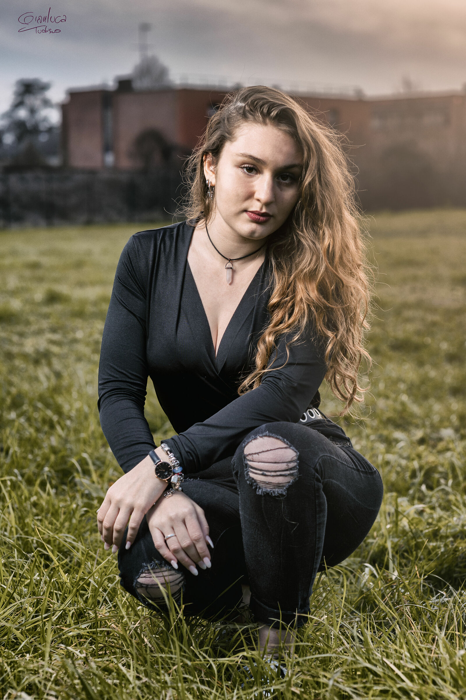 Gioia