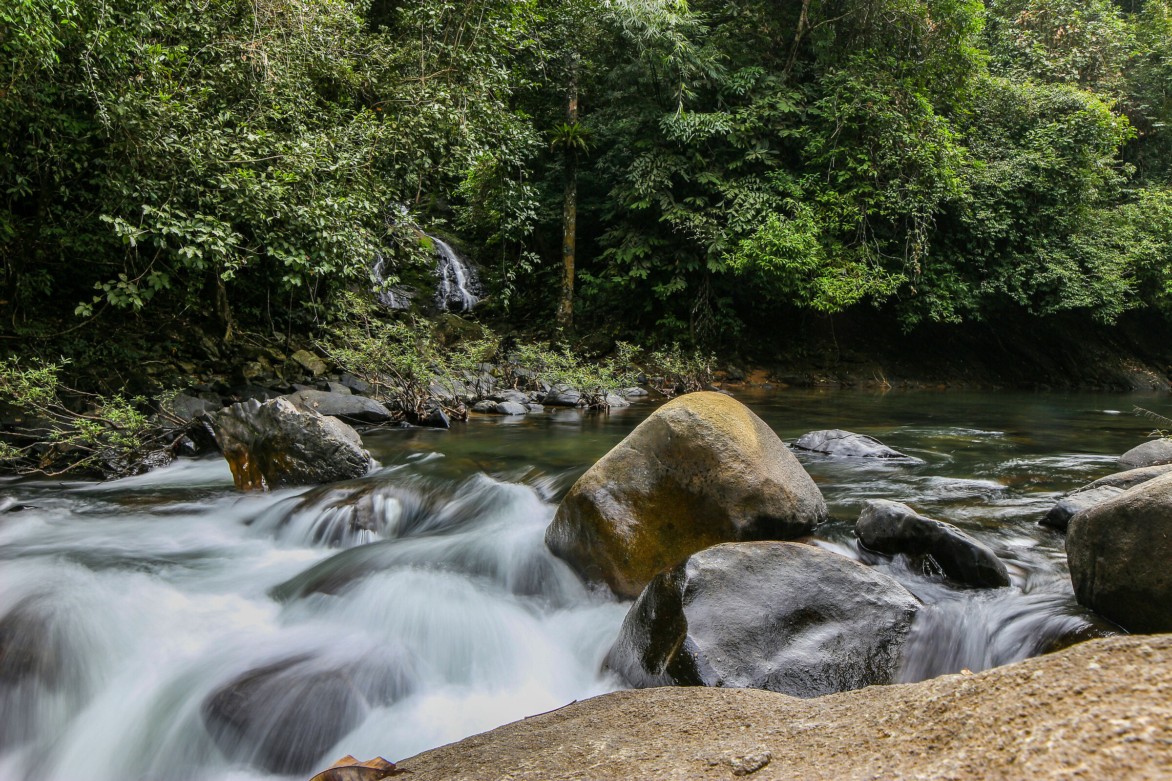 Ruscello in Thailandia