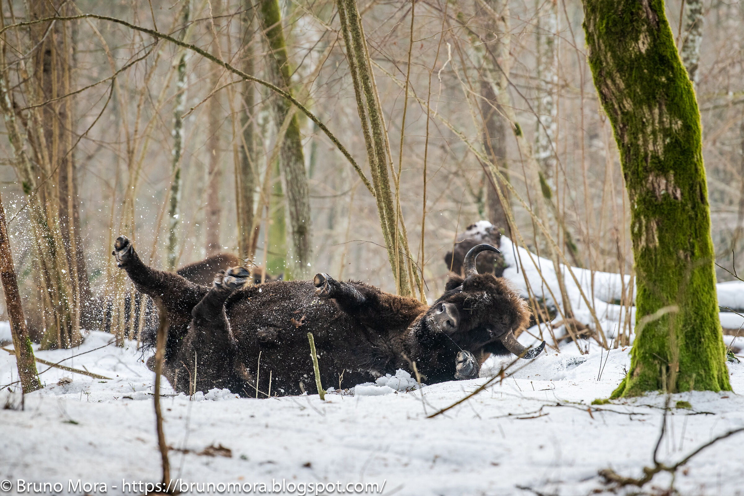 A wash in the snow...